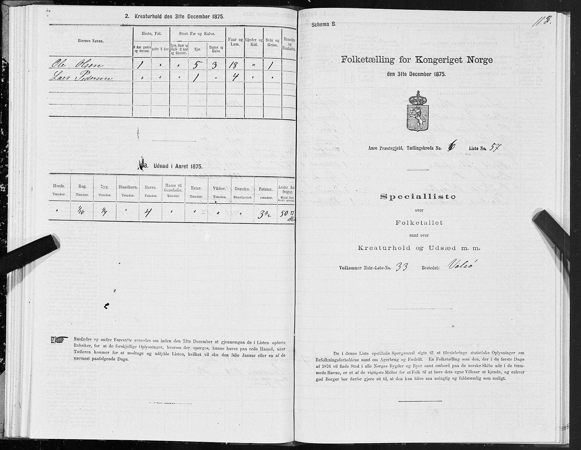 SAT, Folketelling 1875 for 1569P Aure prestegjeld, 1875, s. 5113