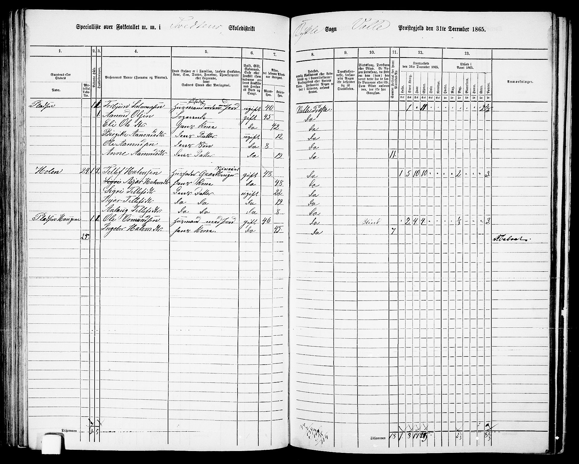 RA, Folketelling 1865 for 0940P Valle prestegjeld, 1865, s. 96