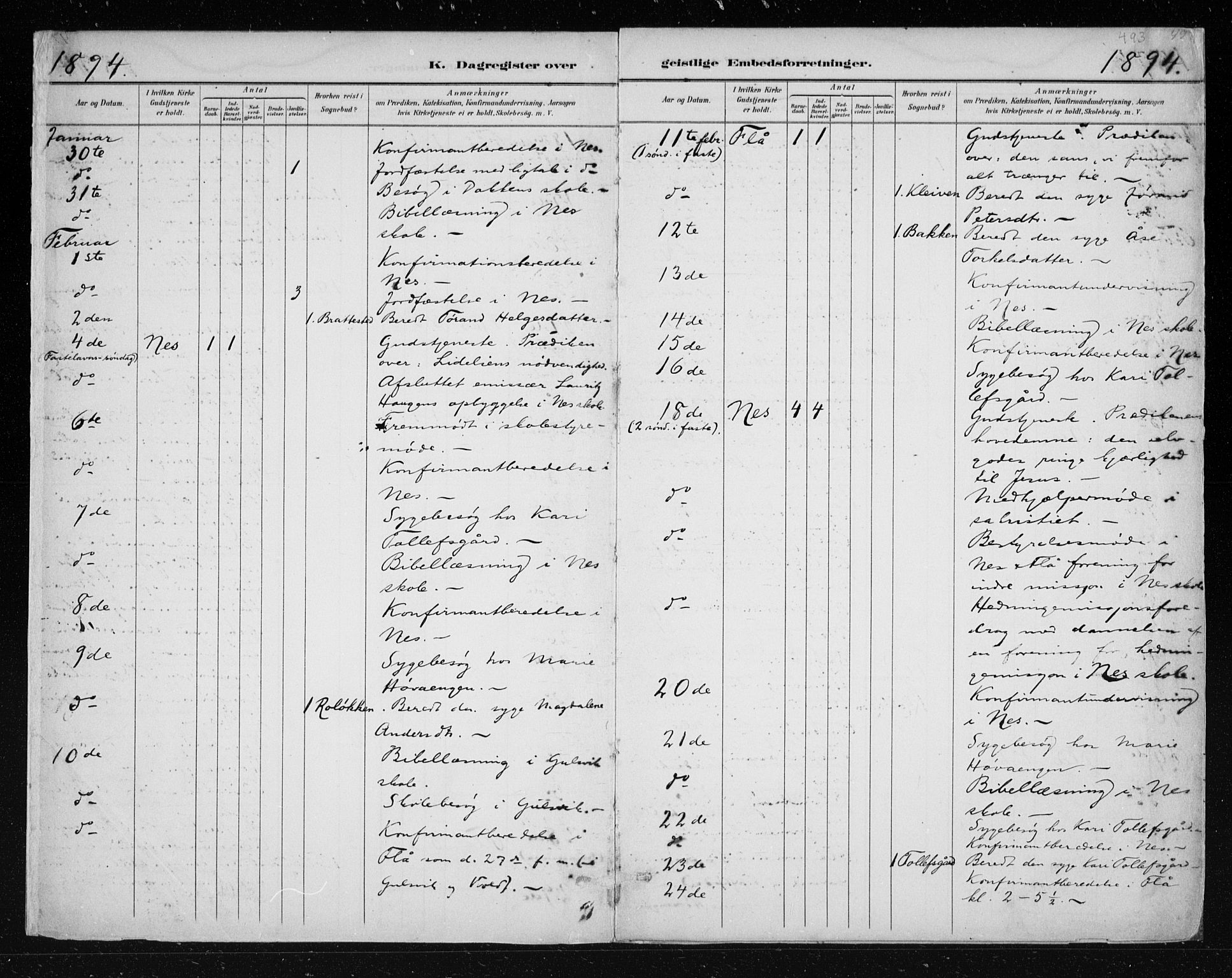 Nes kirkebøker, AV/SAKO-A-236/F/Fa/L0011: Ministerialbok nr. 11, 1881-1912, s. 493