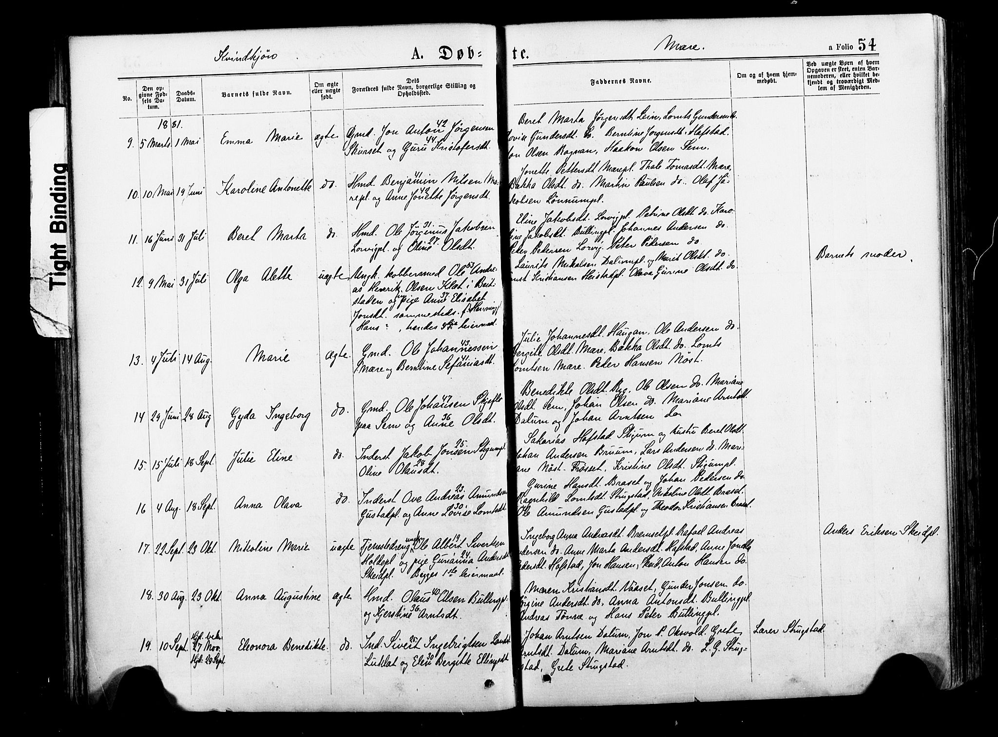 Ministerialprotokoller, klokkerbøker og fødselsregistre - Nord-Trøndelag, SAT/A-1458/735/L0348: Ministerialbok nr. 735A09 /1, 1873-1883, s. 54