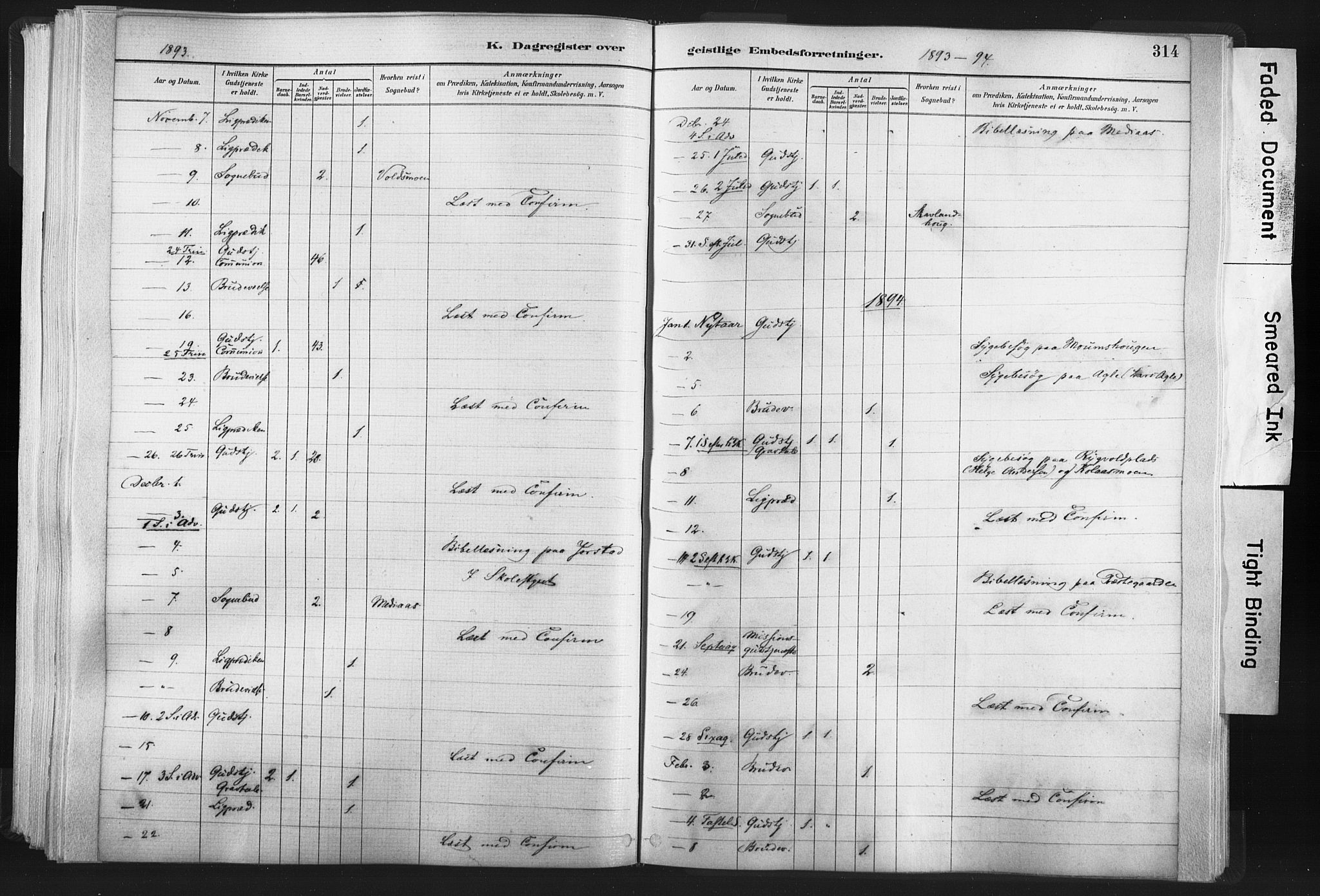 Ministerialprotokoller, klokkerbøker og fødselsregistre - Nord-Trøndelag, SAT/A-1458/749/L0474: Ministerialbok nr. 749A08, 1887-1903, s. 314