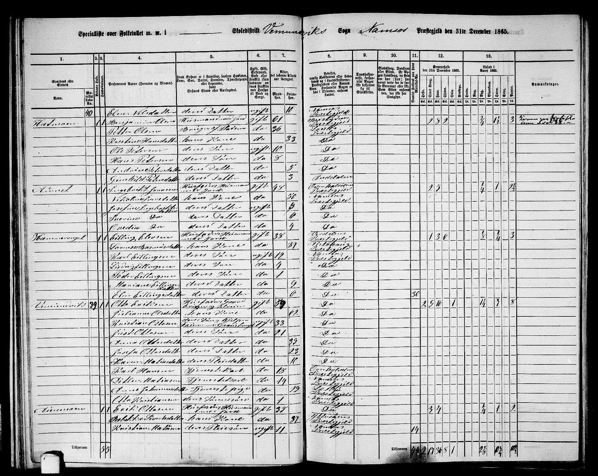 RA, Folketelling 1865 for 1745L Namsos prestegjeld, Vemundvik sokn og Sævik sokn, 1865, s. 29