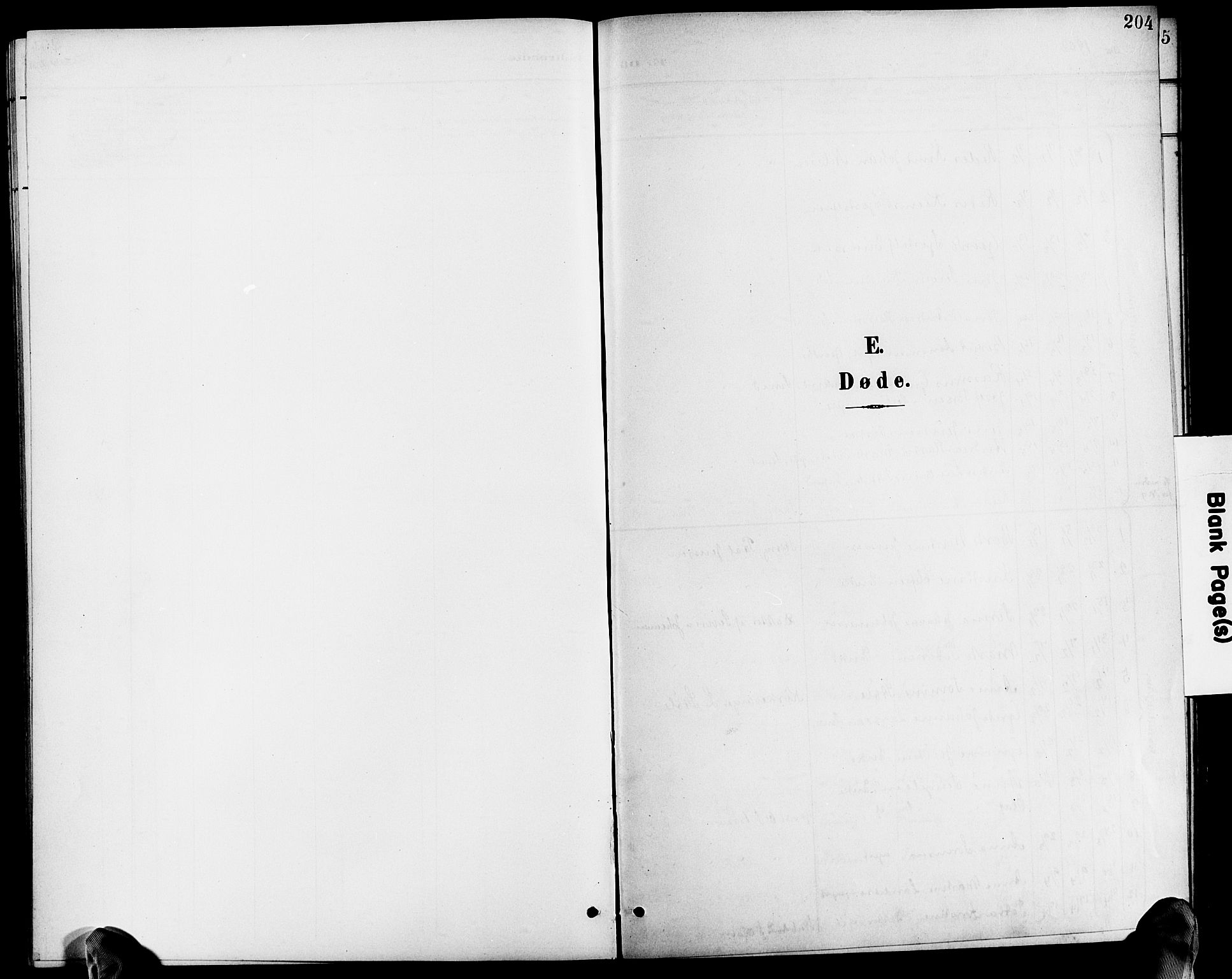 Dypvåg sokneprestkontor, AV/SAK-1111-0007/F/Fb/Fba/L0014: Klokkerbok nr. B 14, 1901-1922, s. 204