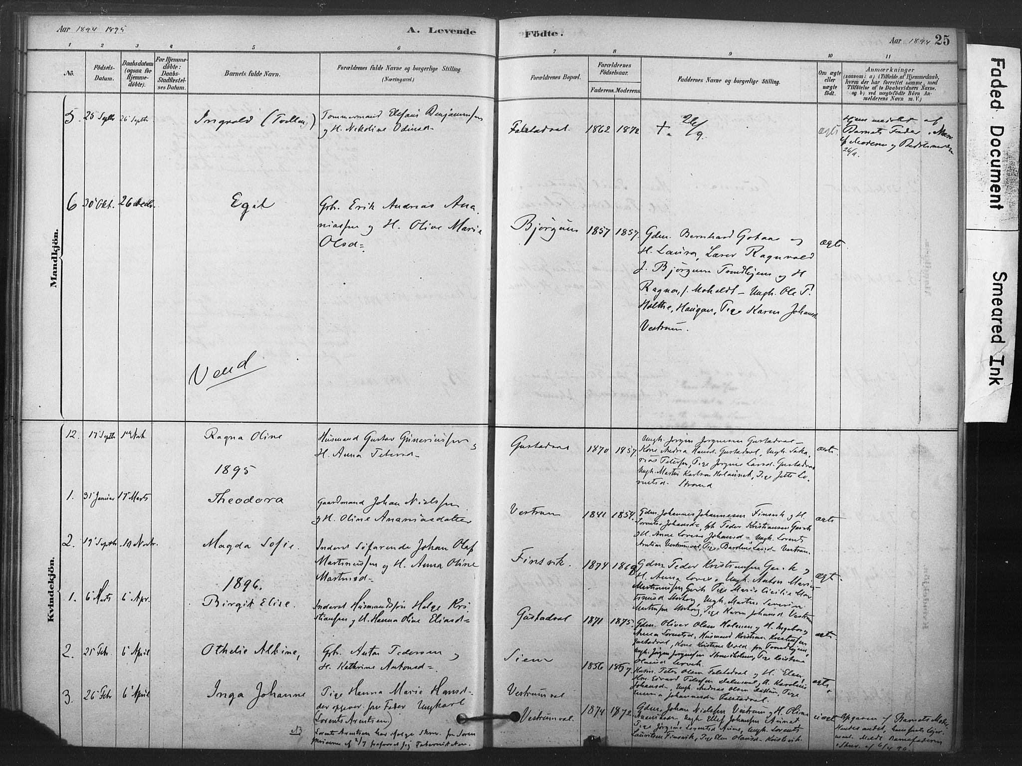 Ministerialprotokoller, klokkerbøker og fødselsregistre - Nord-Trøndelag, SAT/A-1458/719/L0178: Ministerialbok nr. 719A01, 1878-1900, s. 25