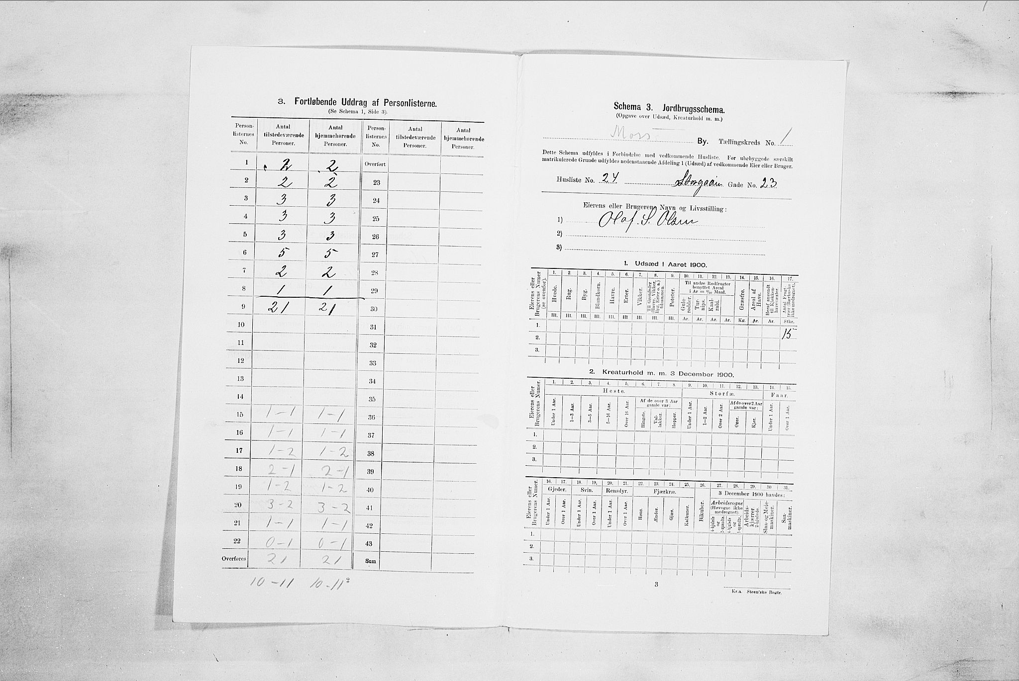 SAO, Folketelling 1900 for 0104 Moss kjøpstad, 1900