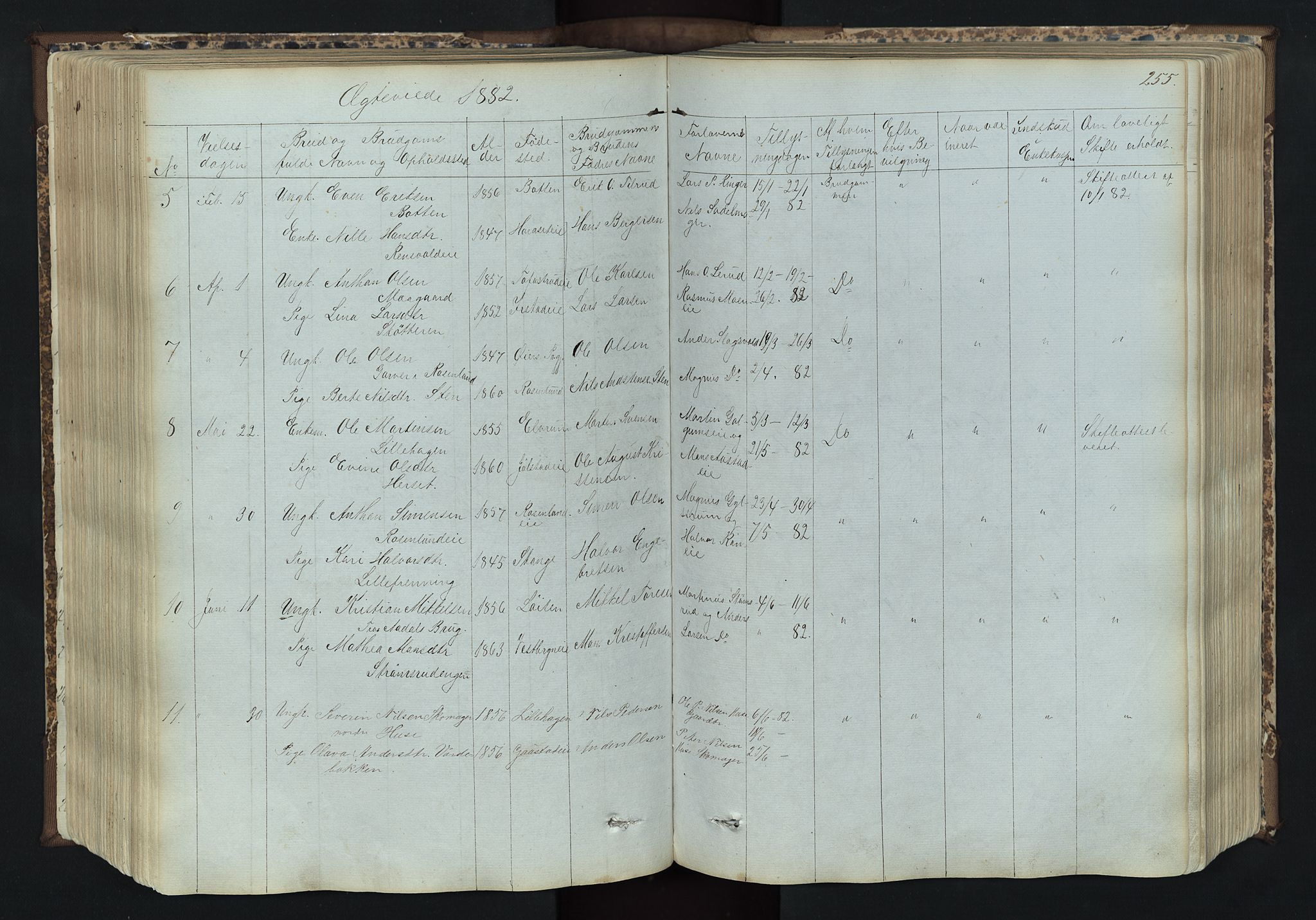Romedal prestekontor, AV/SAH-PREST-004/L/L0011: Klokkerbok nr. 11, 1867-1895, s. 255