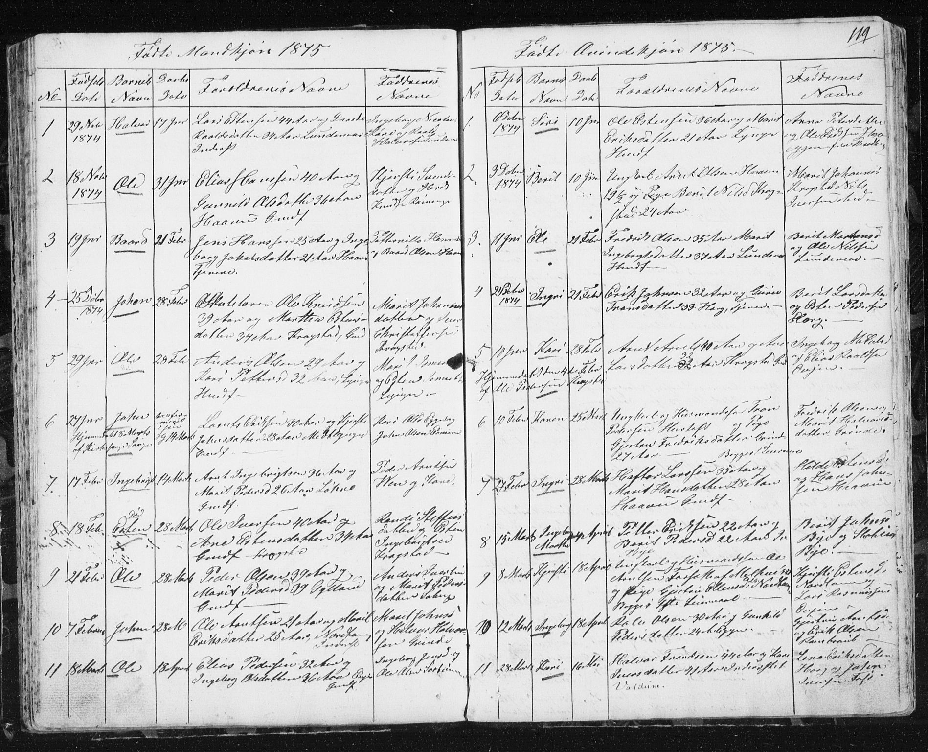 Ministerialprotokoller, klokkerbøker og fødselsregistre - Sør-Trøndelag, AV/SAT-A-1456/692/L1110: Klokkerbok nr. 692C05, 1849-1889, s. 119