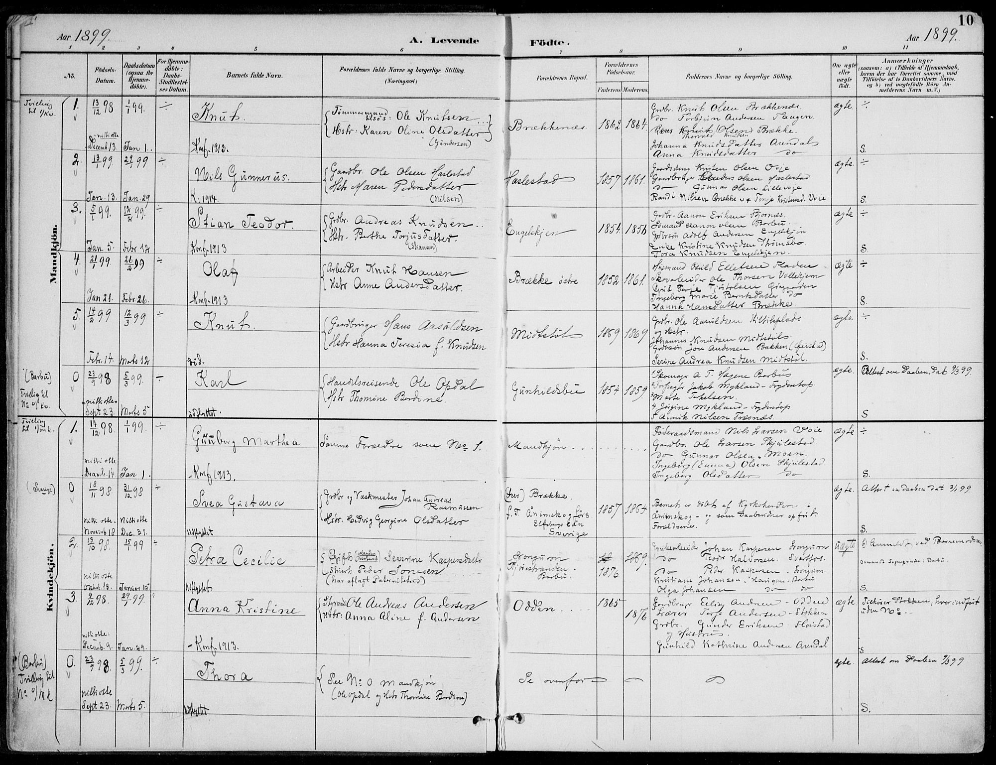 Austre Moland sokneprestkontor, AV/SAK-1111-0001/F/Fa/Faa/L0011: Ministerialbok nr. A 11, 1894-1915, s. 10