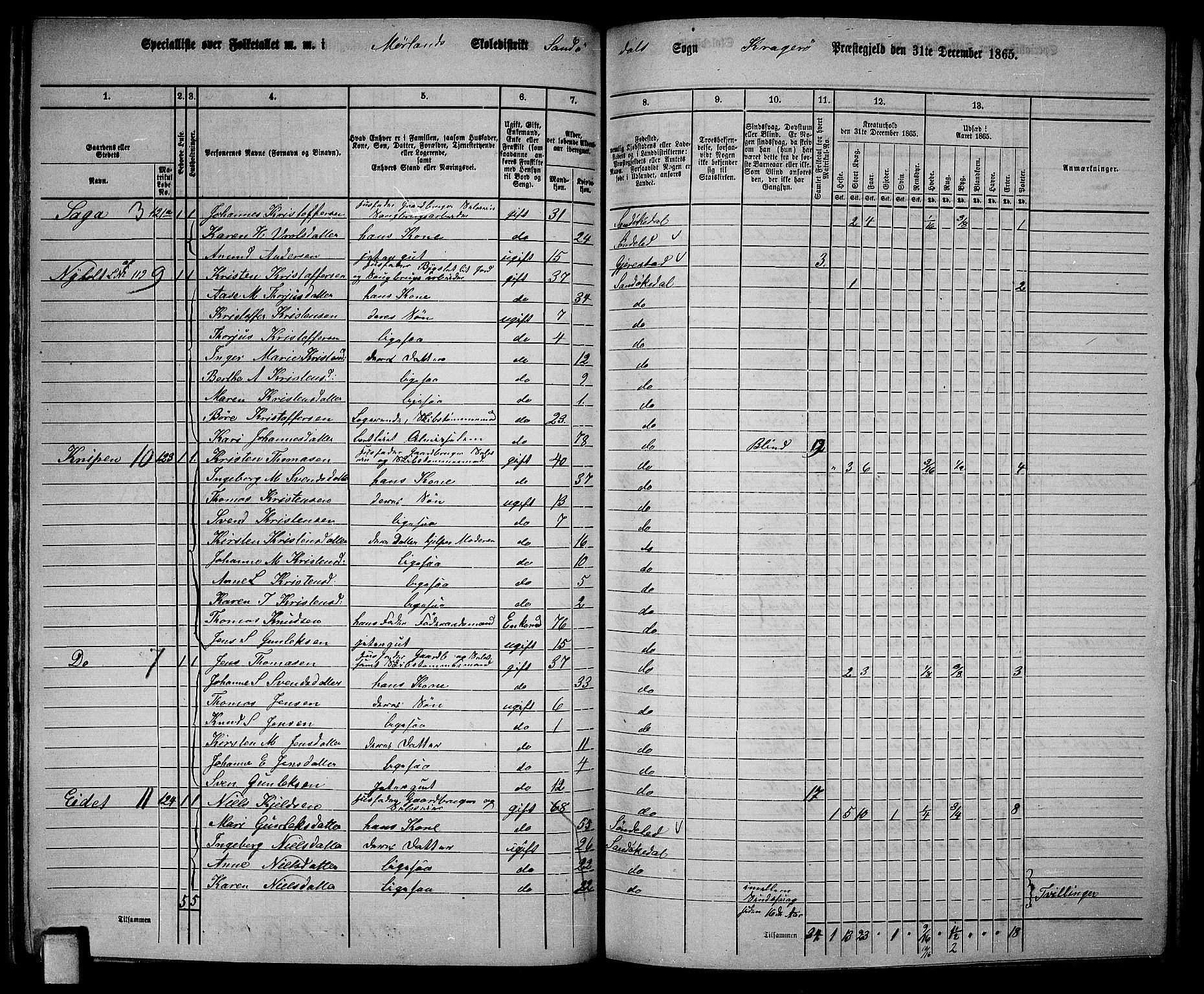 RA, Folketelling 1865 for 0816L Kragerø prestegjeld, Sannidal sokn og Skåtøy sokn, 1865, s. 74