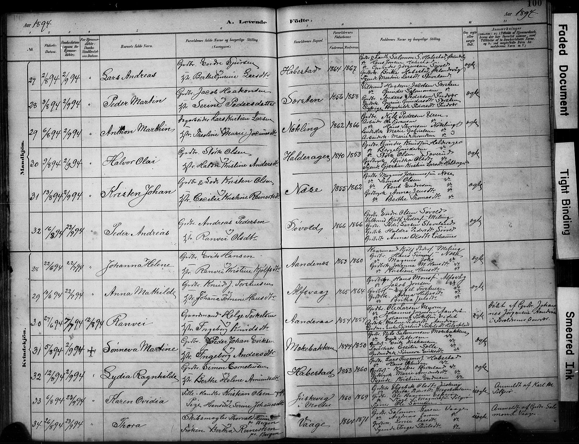 Finnås sokneprestembete, AV/SAB-A-99925/H/Ha/Hab/Habb/L0003: Klokkerbok nr. B 3, 1882-1897, s. 100