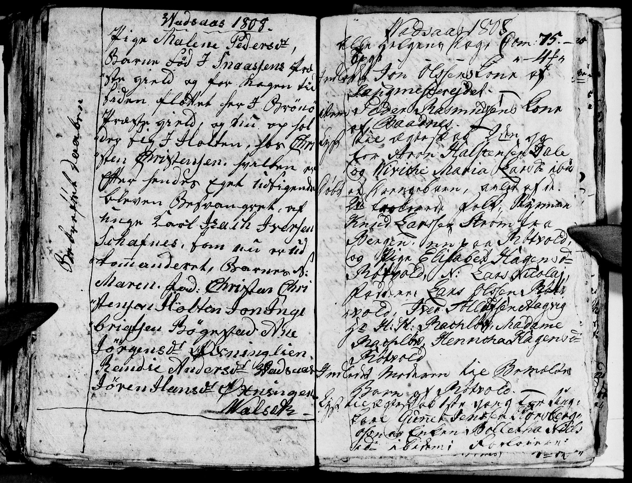 Ministerialprotokoller, klokkerbøker og fødselsregistre - Nordland, AV/SAT-A-1459/810/L0139: Ministerialbok nr. 810A03, 1785-1816