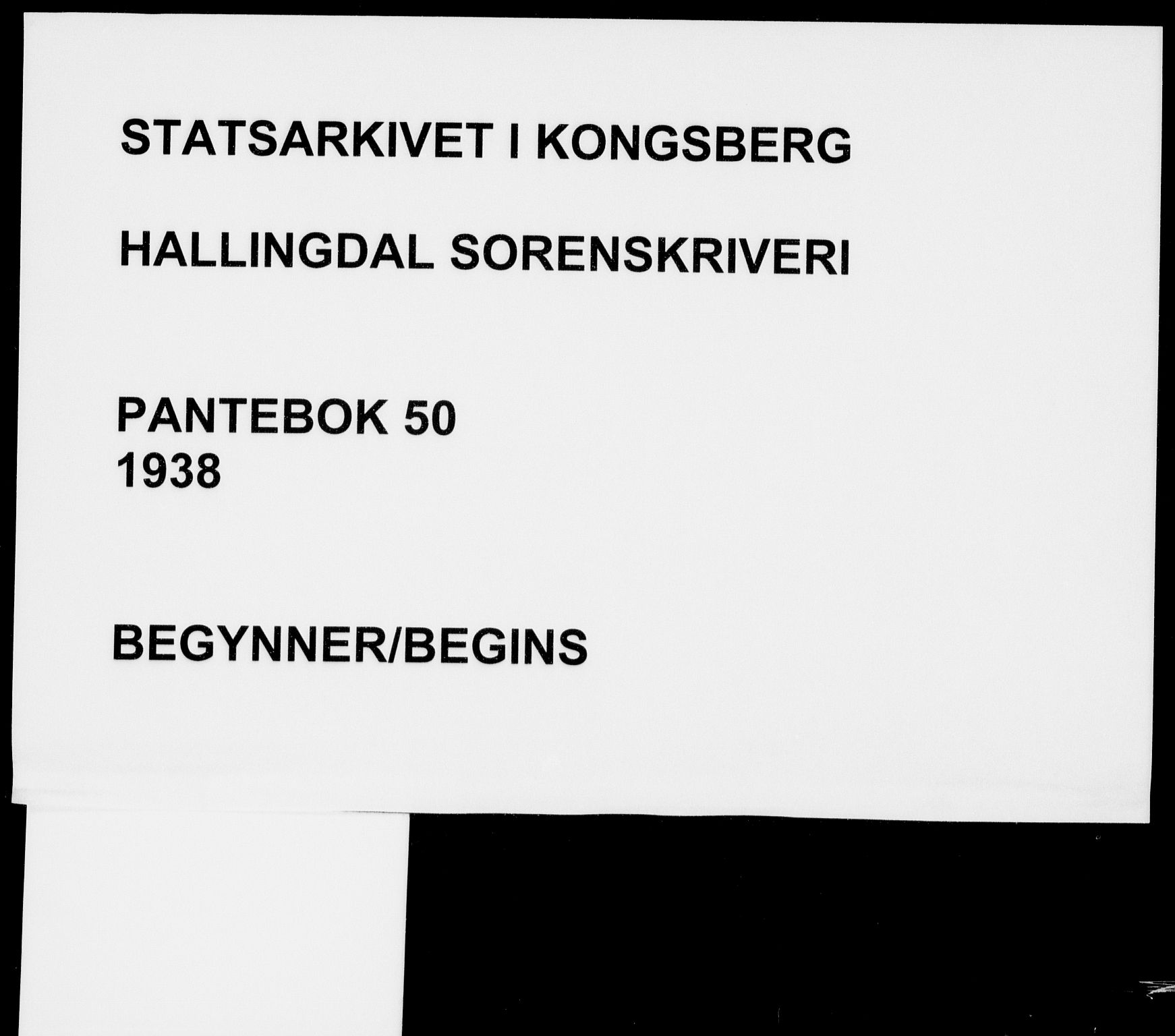 Hallingdal sorenskriveri, SAKO/A-121/G/Ga/L0050: Pantebok nr. 50, 1938-1938
