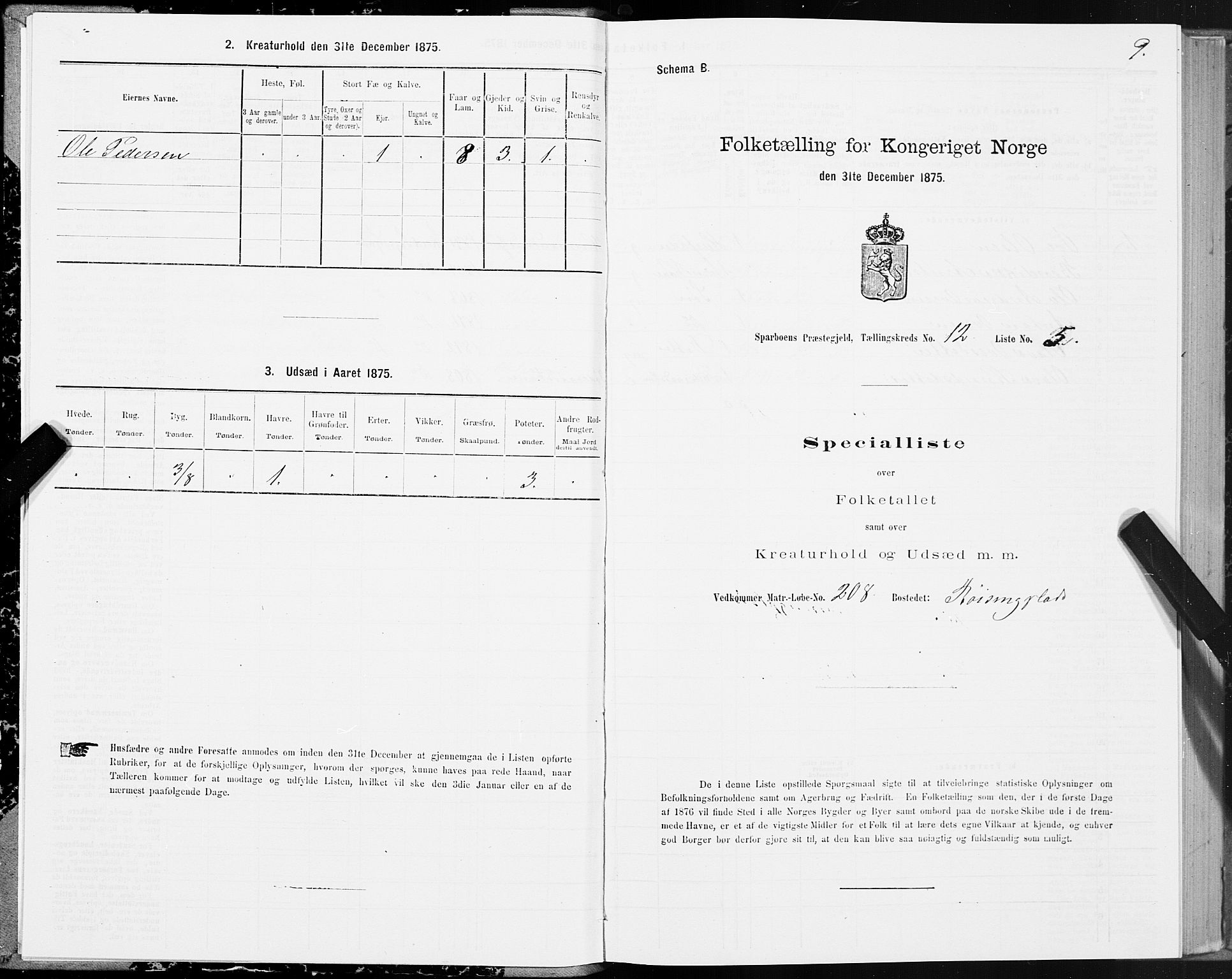 SAT, Folketelling 1875 for 1731P Sparbu prestegjeld, 1875, s. 5009