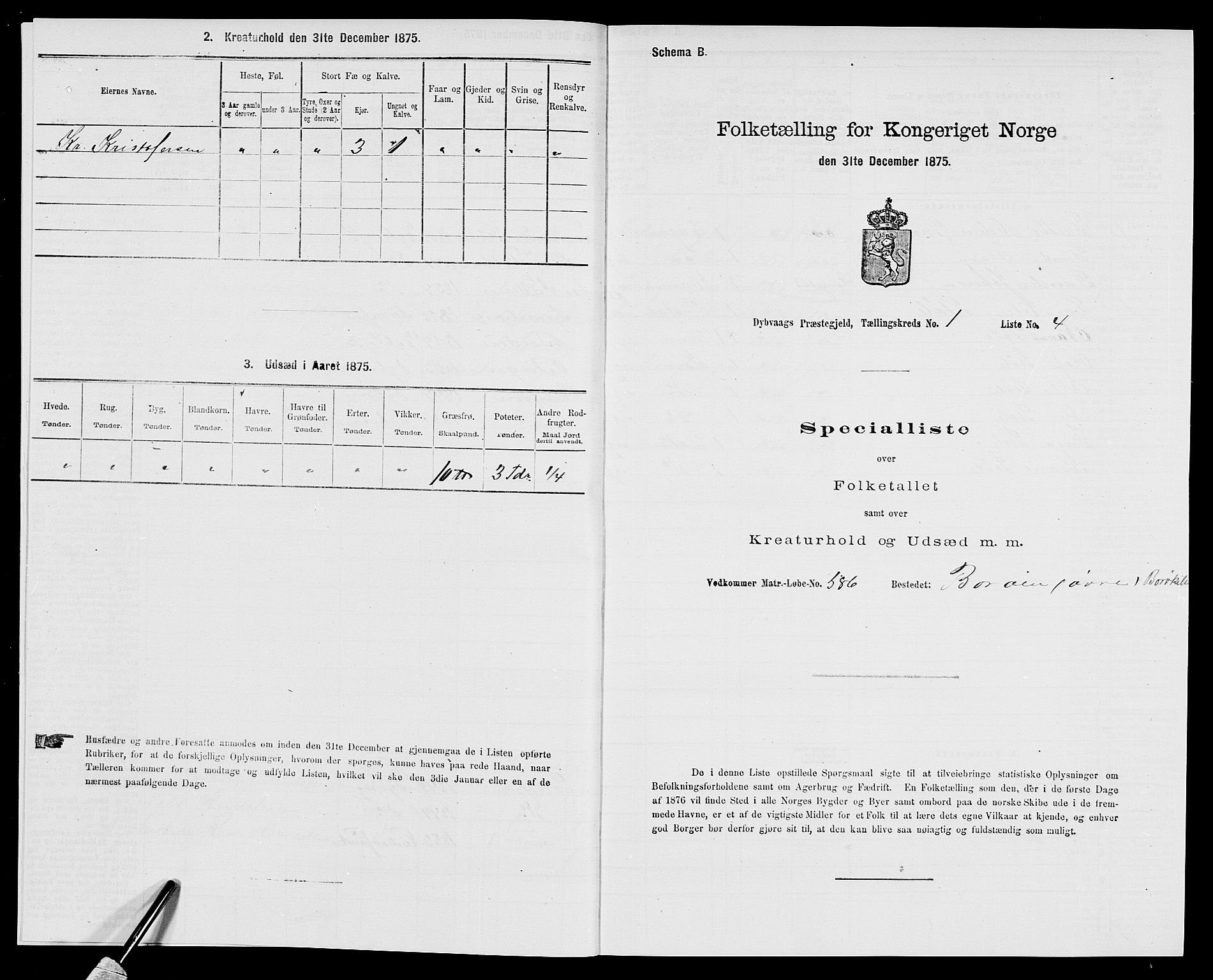 SAK, Folketelling 1875 for 0915P Dypvåg prestegjeld, 1875, s. 67