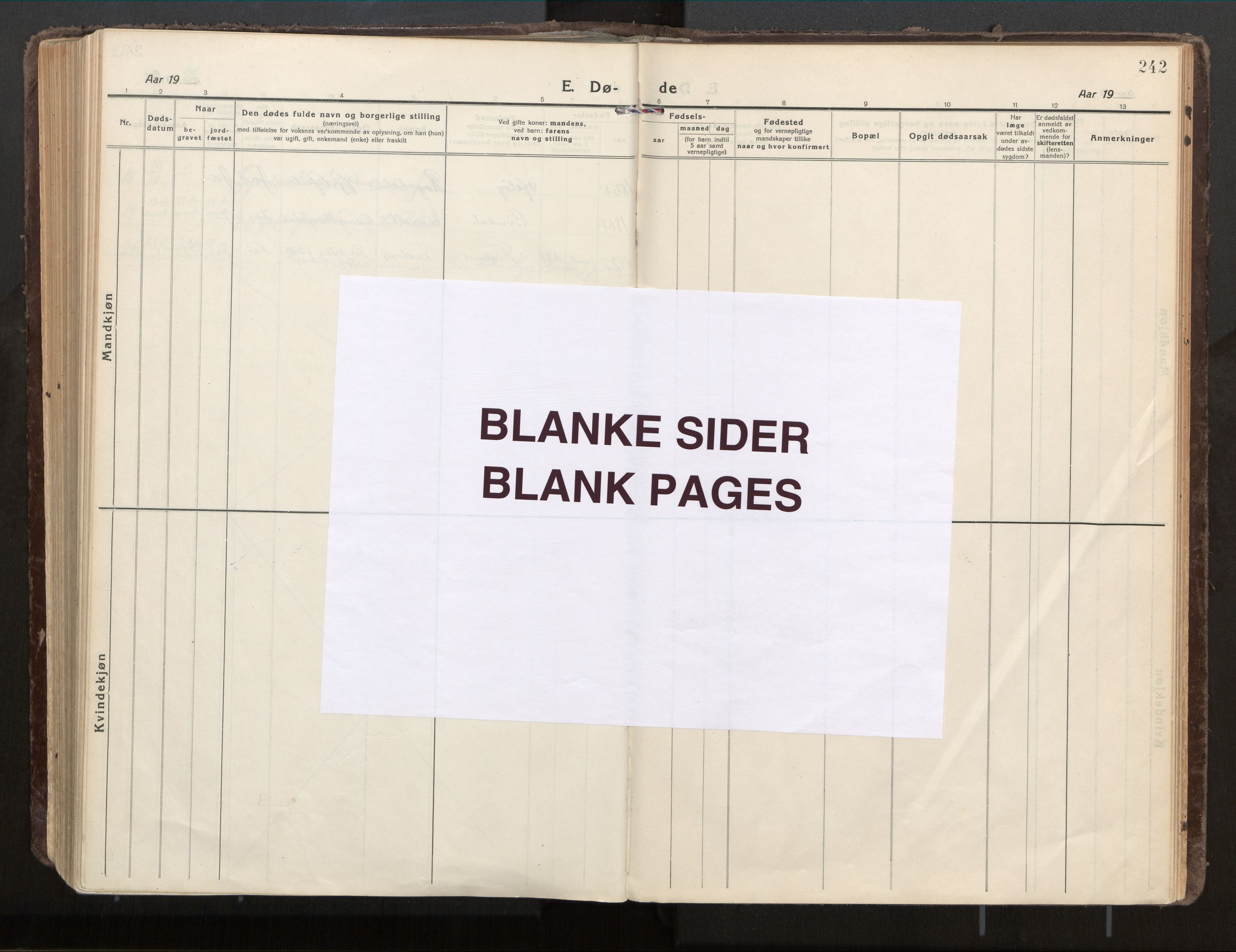 Ministerialprotokoller, klokkerbøker og fødselsregistre - Nordland, AV/SAT-A-1459/813/L0207a: Ministerialbok nr. 813A18, 1919-1927, s. 242