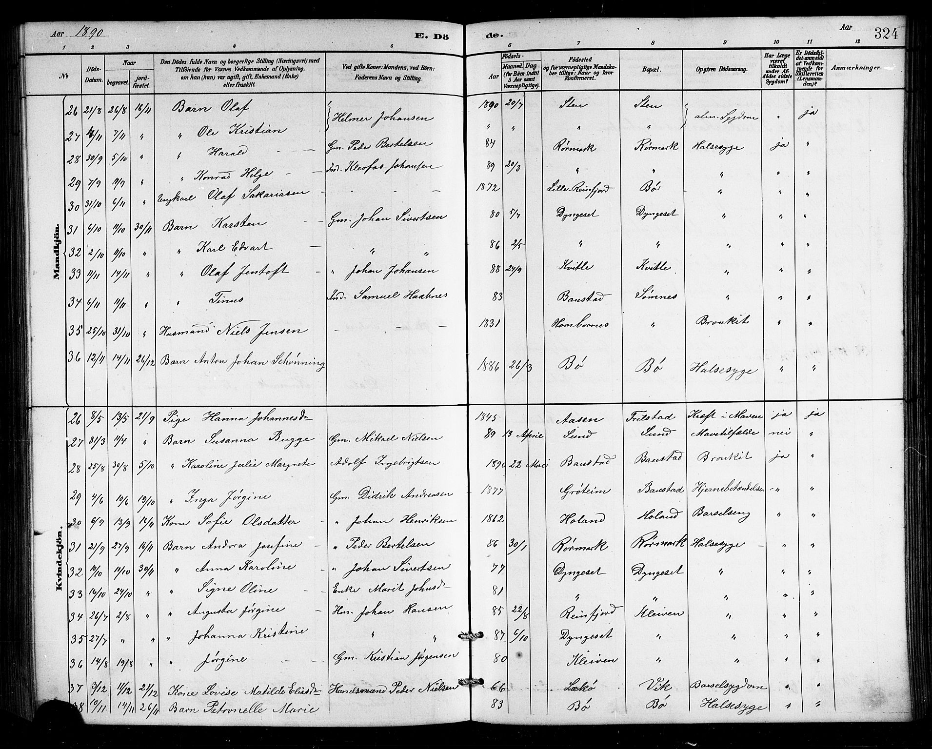 Ministerialprotokoller, klokkerbøker og fødselsregistre - Nordland, SAT/A-1459/812/L0188: Klokkerbok nr. 812C06, 1884-1912, s. 324