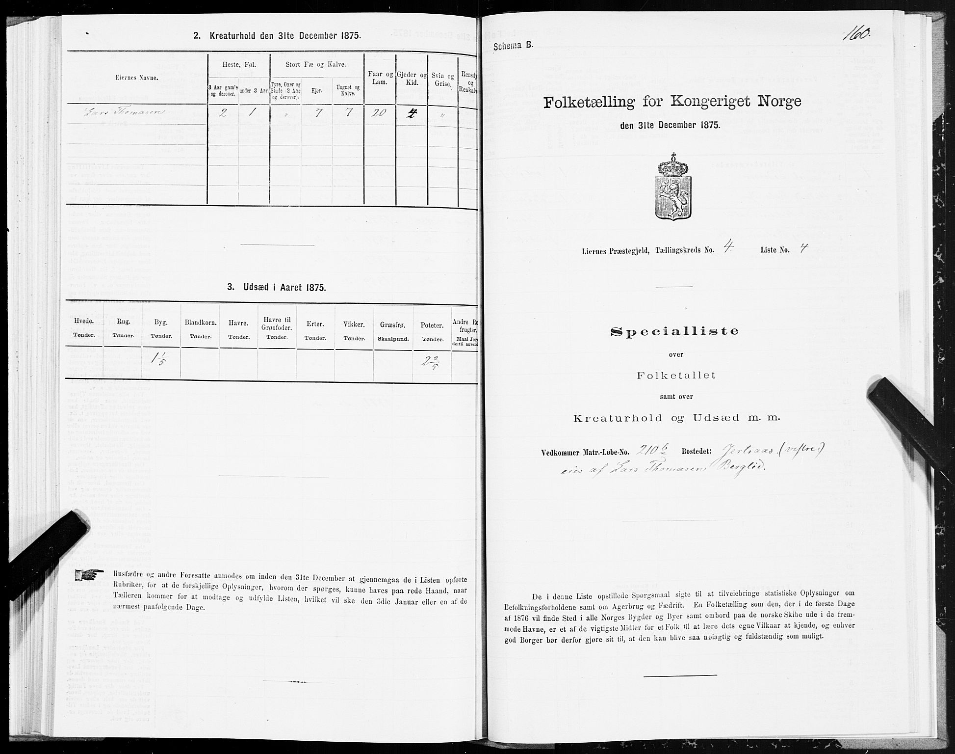 SAT, Folketelling 1875 for 1737P Lierne prestegjeld, 1875, s. 1160