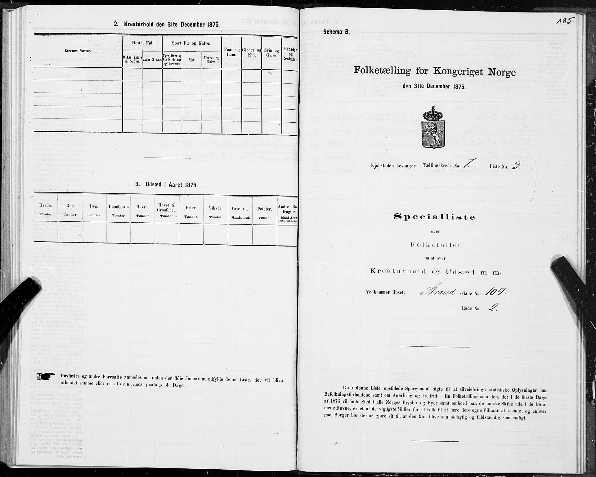 SAT, Folketelling 1875 for 1701B Levanger prestegjeld, Levanger kjøpstad, 1875, s. 185