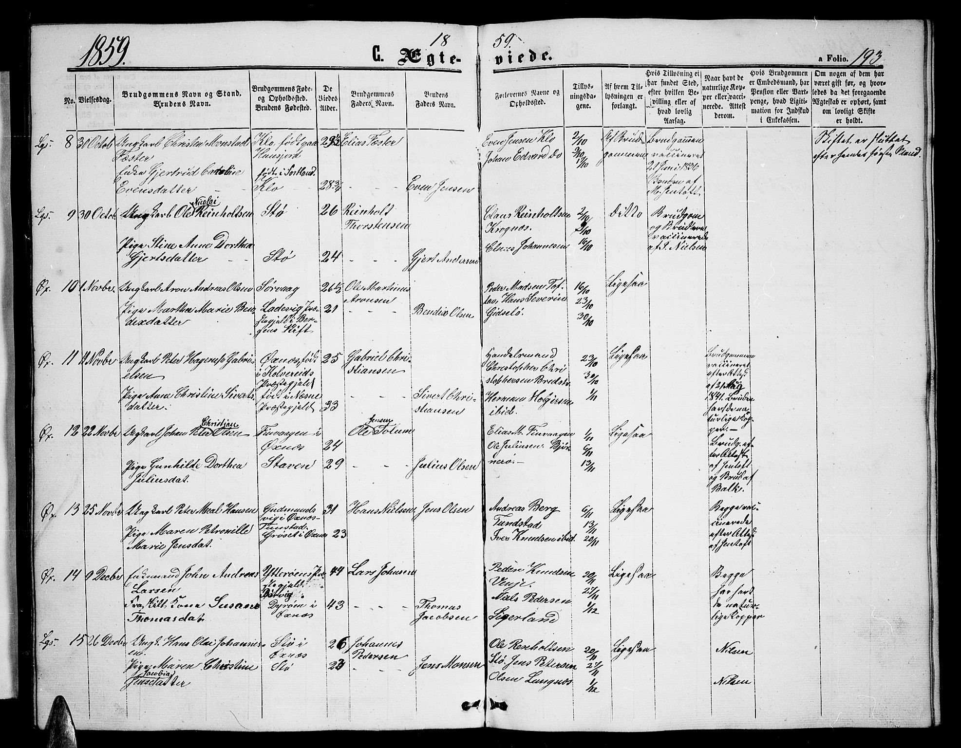 Ministerialprotokoller, klokkerbøker og fødselsregistre - Nordland, AV/SAT-A-1459/893/L1347: Klokkerbok nr. 893C02, 1858-1866, s. 193