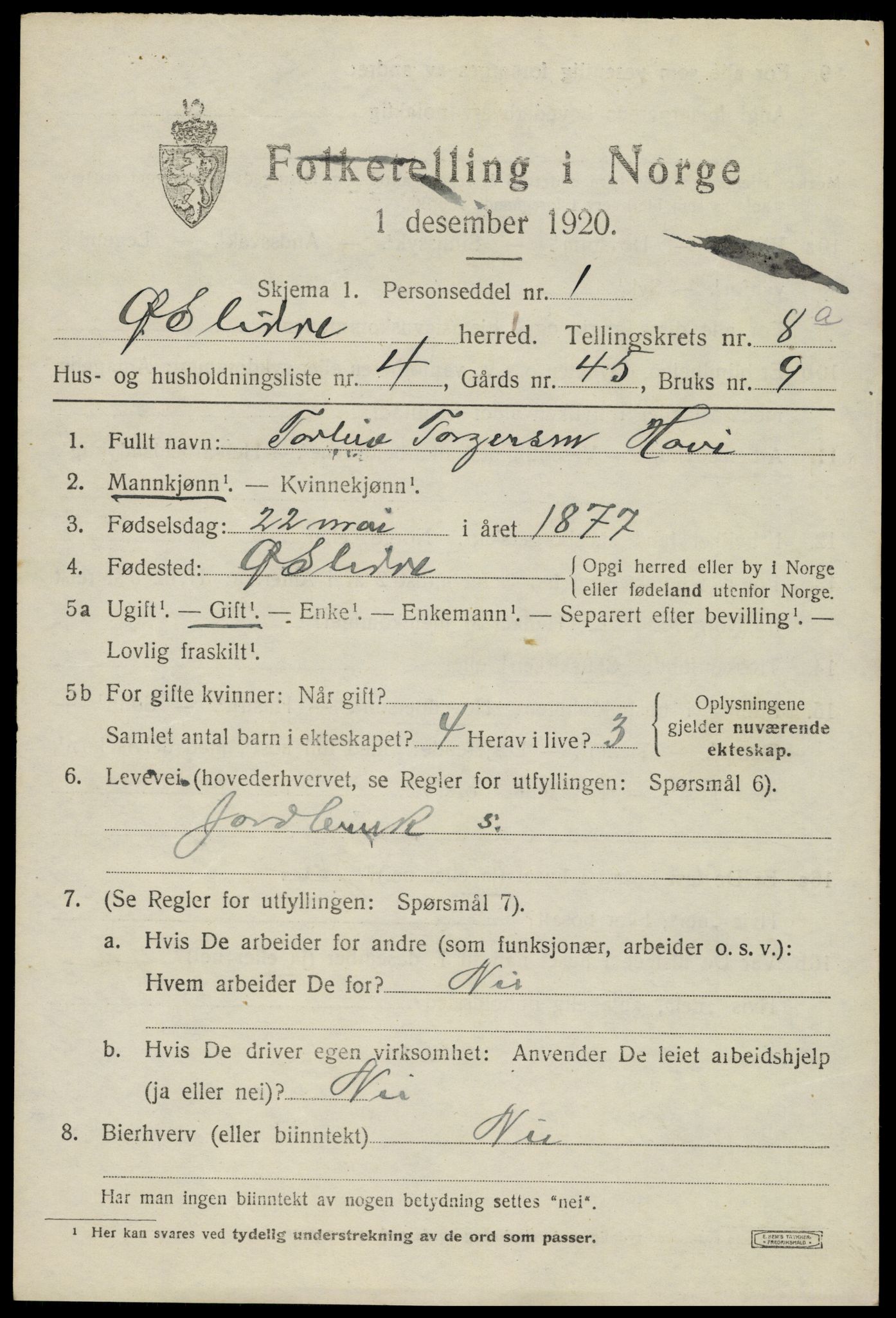 SAH, Folketelling 1920 for 0544 Øystre Slidre herred, 1920, s. 4811