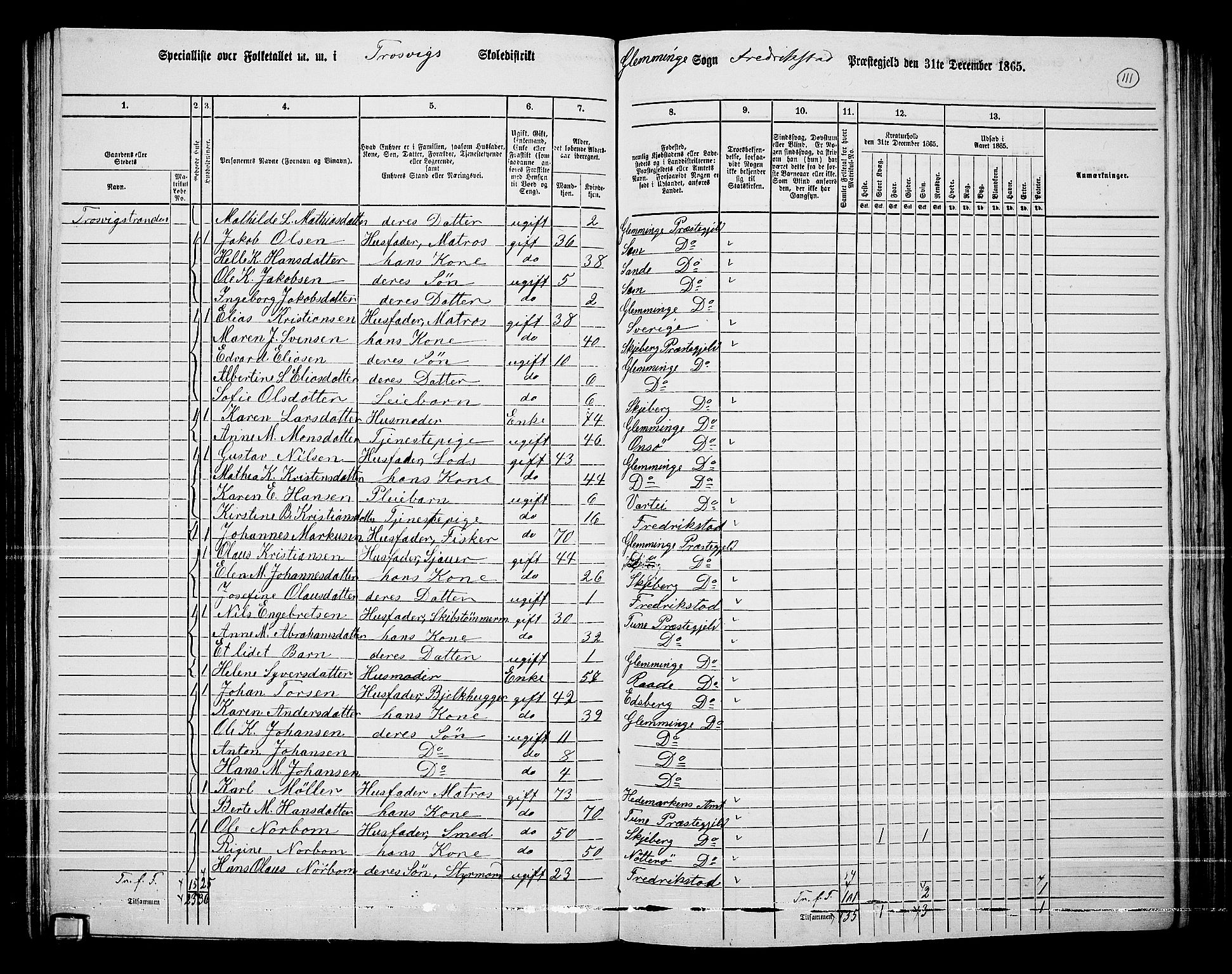 RA, Folketelling 1865 for 0132L Fredrikstad prestegjeld, Glemmen sokn, 1865, s. 107