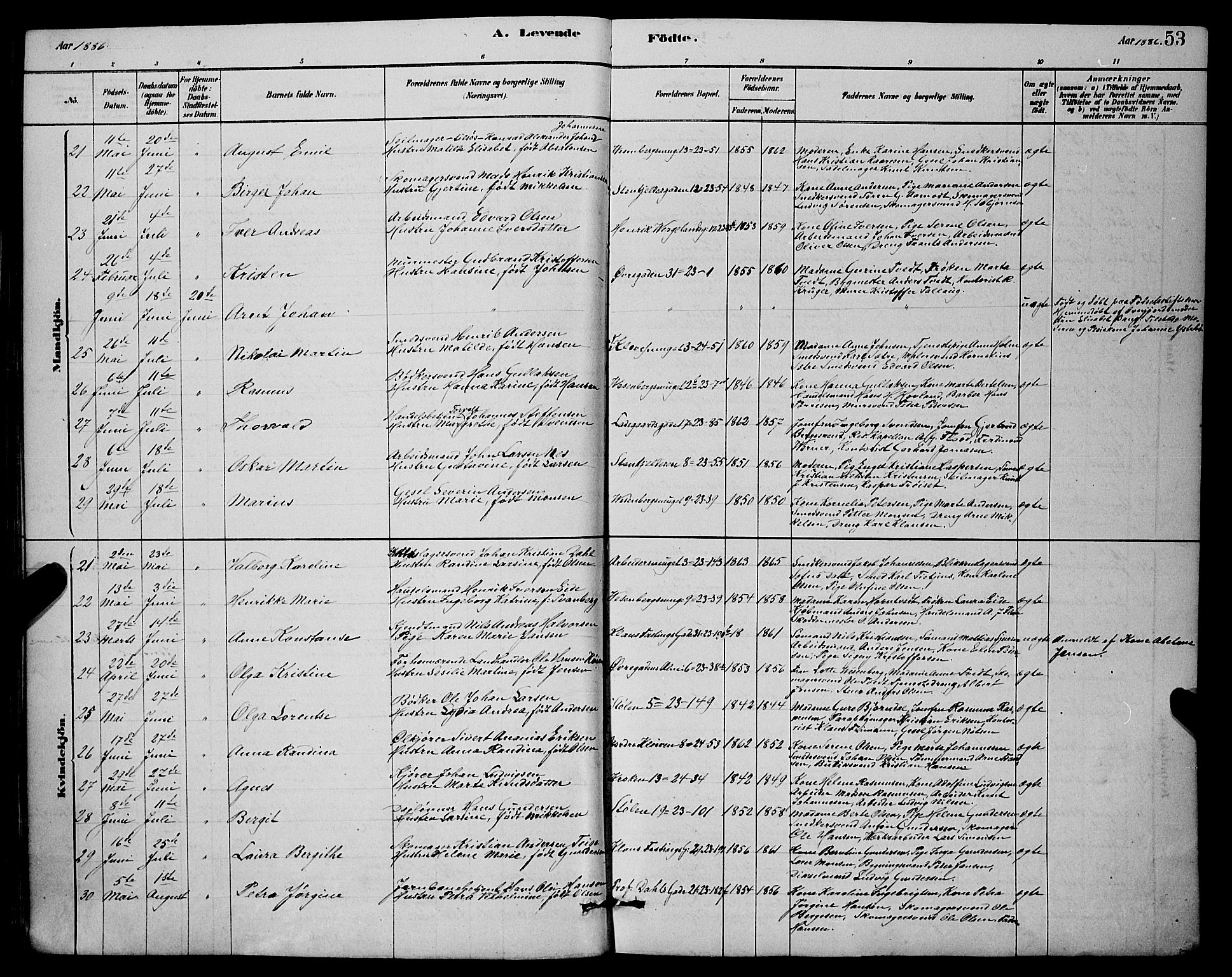 Mariakirken Sokneprestembete, AV/SAB-A-76901/H/Hab/L0004: Klokkerbok nr. A 4, 1878-1892, s. 53