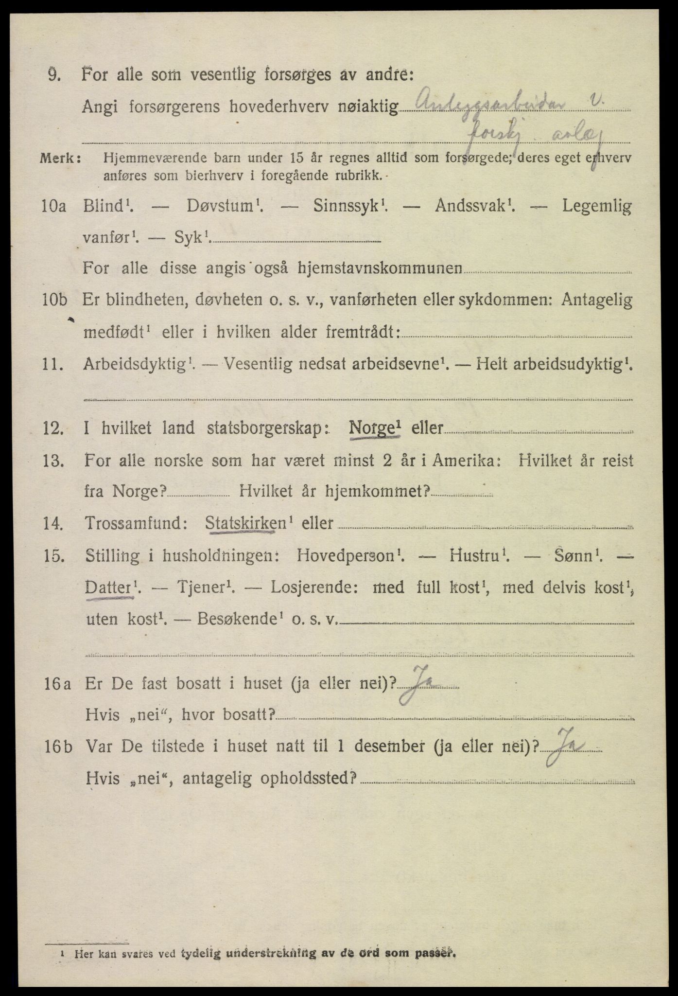 SAK, Folketelling 1920 for 0936 Hornnes herred, 1920, s. 2852
