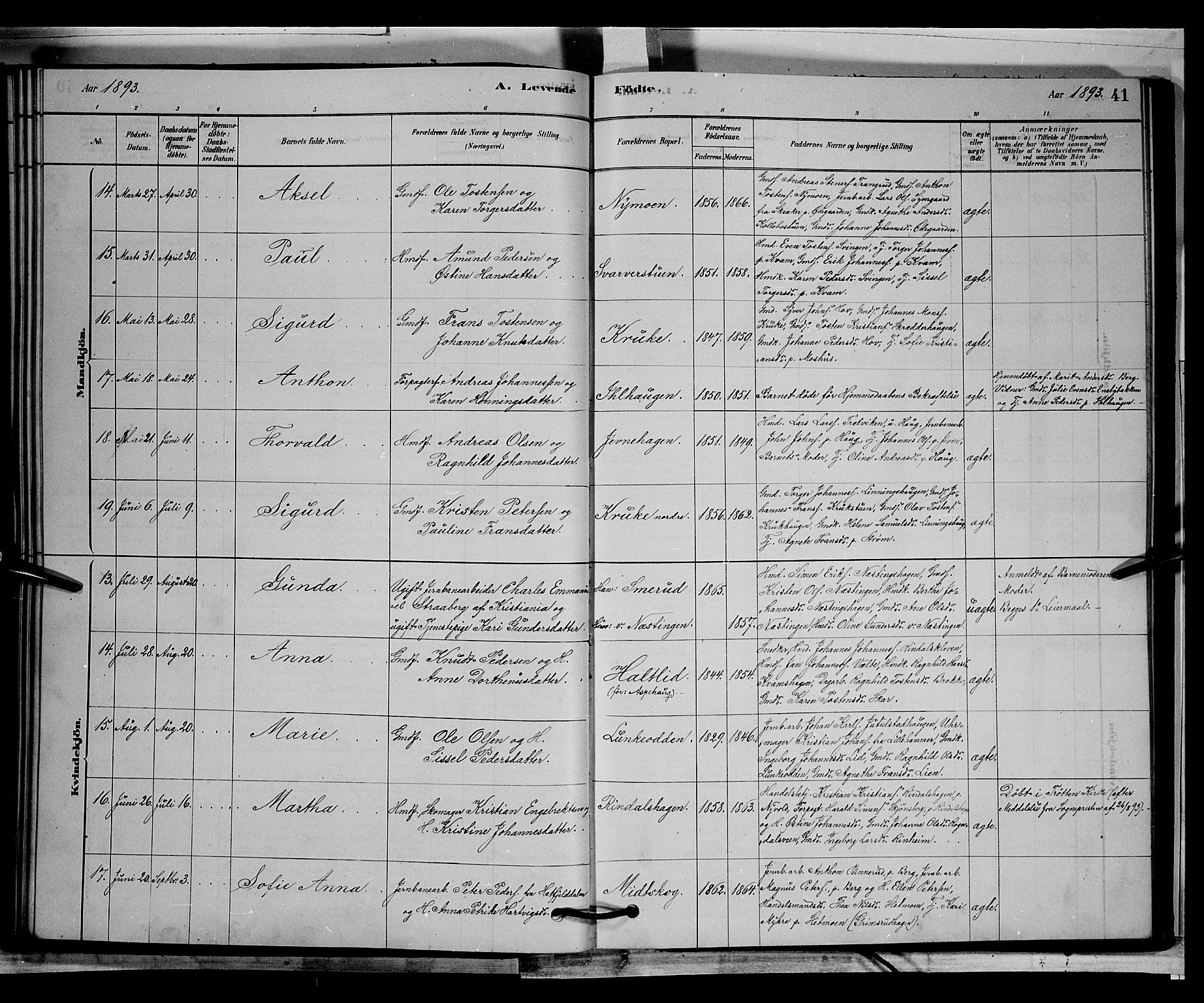 Øyer prestekontor, AV/SAH-PREST-084/H/Ha/Hab/L0002: Klokkerbok nr. 2, 1878-1896, s. 41