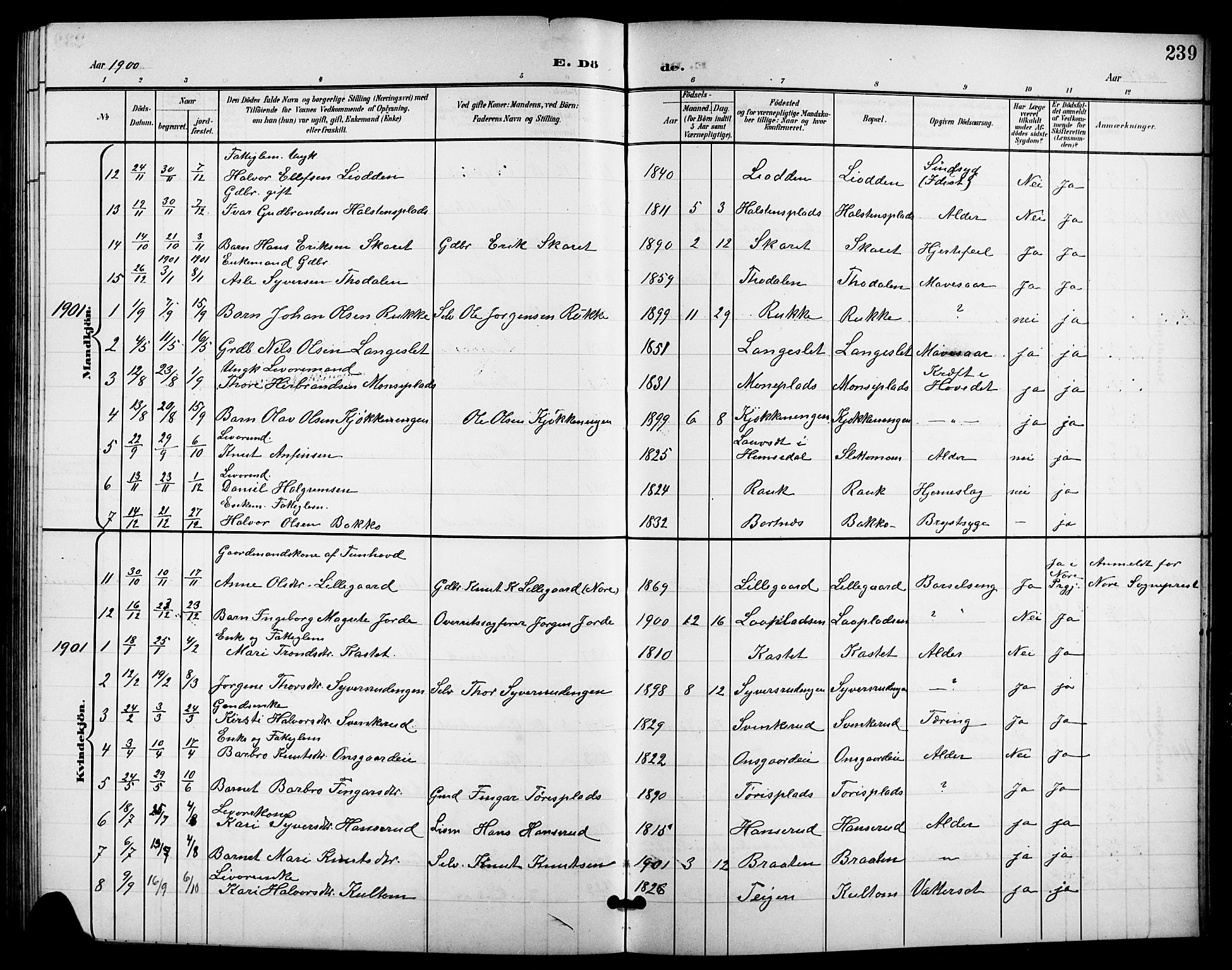 Nes kirkebøker, AV/SAKO-A-236/G/Ga/L0004: Klokkerbok nr. I 4, 1900-1925, s. 239