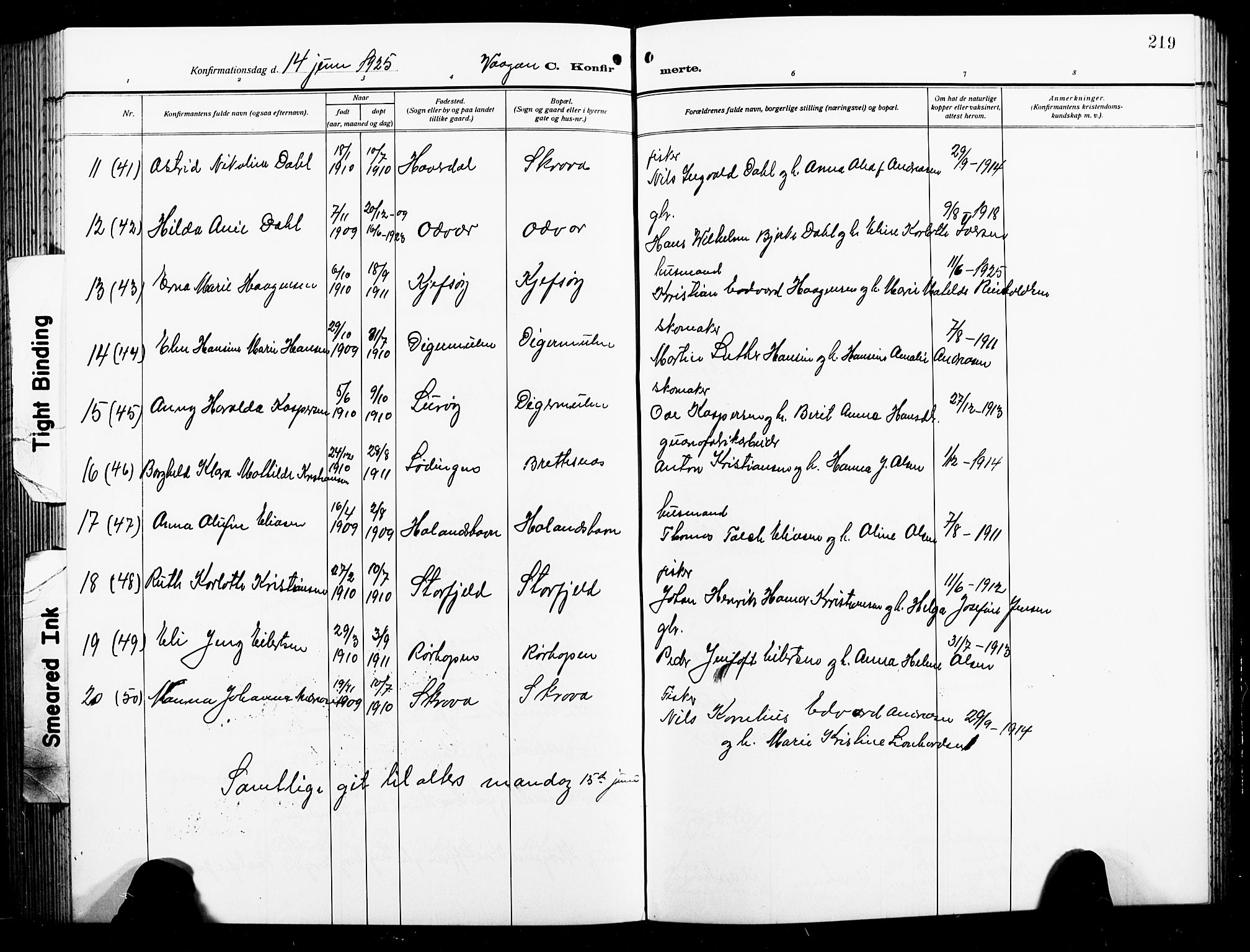Ministerialprotokoller, klokkerbøker og fødselsregistre - Nordland, AV/SAT-A-1459/874/L1080: Klokkerbok nr. 874C09, 1915-1925, s. 219