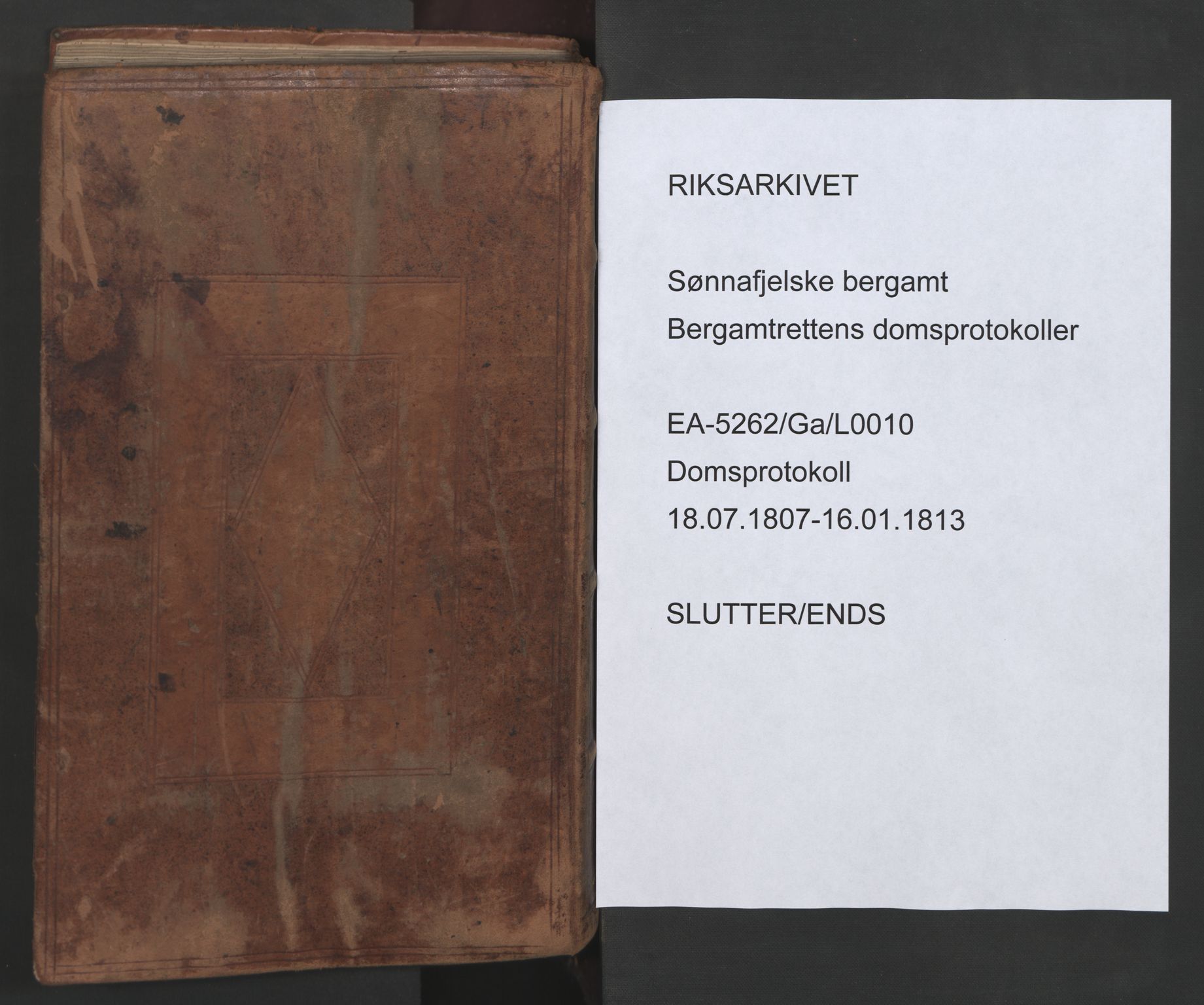 Sønnafjelske bergamt , AV/SAKO-EA-5262/G/Ga/L0010: Domsprotokoll, 1807-1813