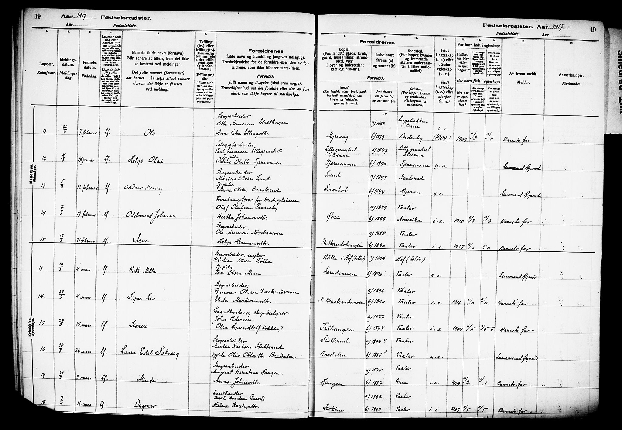Våler prestekontor, Hedmark, AV/SAH-PREST-040/I/Id/L0001: Fødselsregister nr. 1, 1916-1930, s. 19