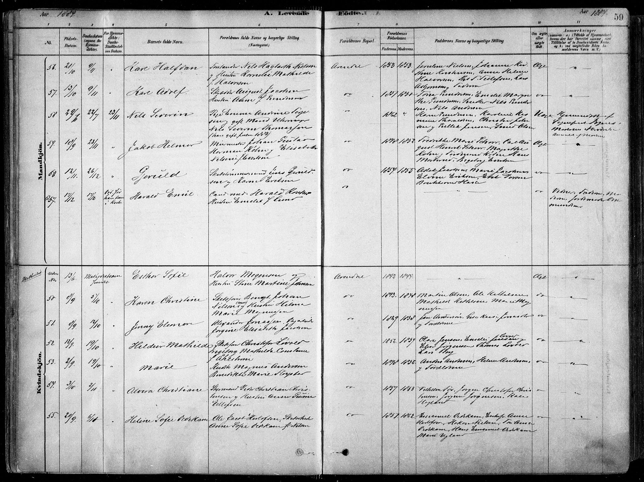 Arendal sokneprestkontor, Trefoldighet, AV/SAK-1111-0040/F/Fa/L0008: Ministerialbok nr. A 8, 1878-1899, s. 59