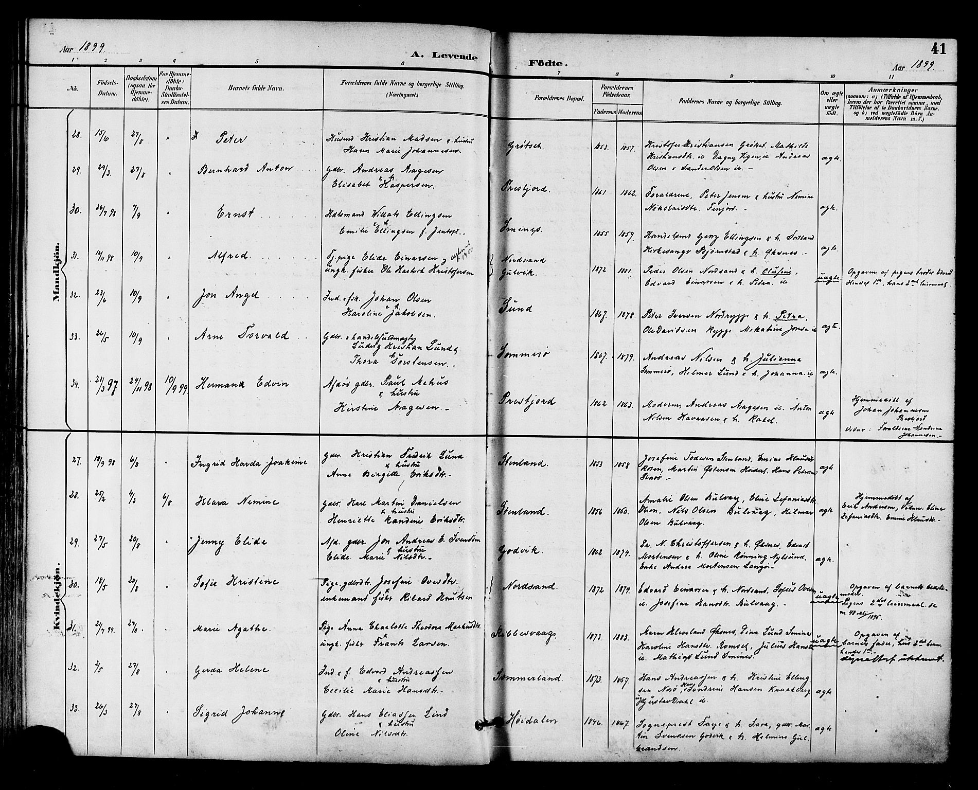 Ministerialprotokoller, klokkerbøker og fødselsregistre - Nordland, AV/SAT-A-1459/893/L1338: Ministerialbok nr. 893A10, 1894-1903, s. 41