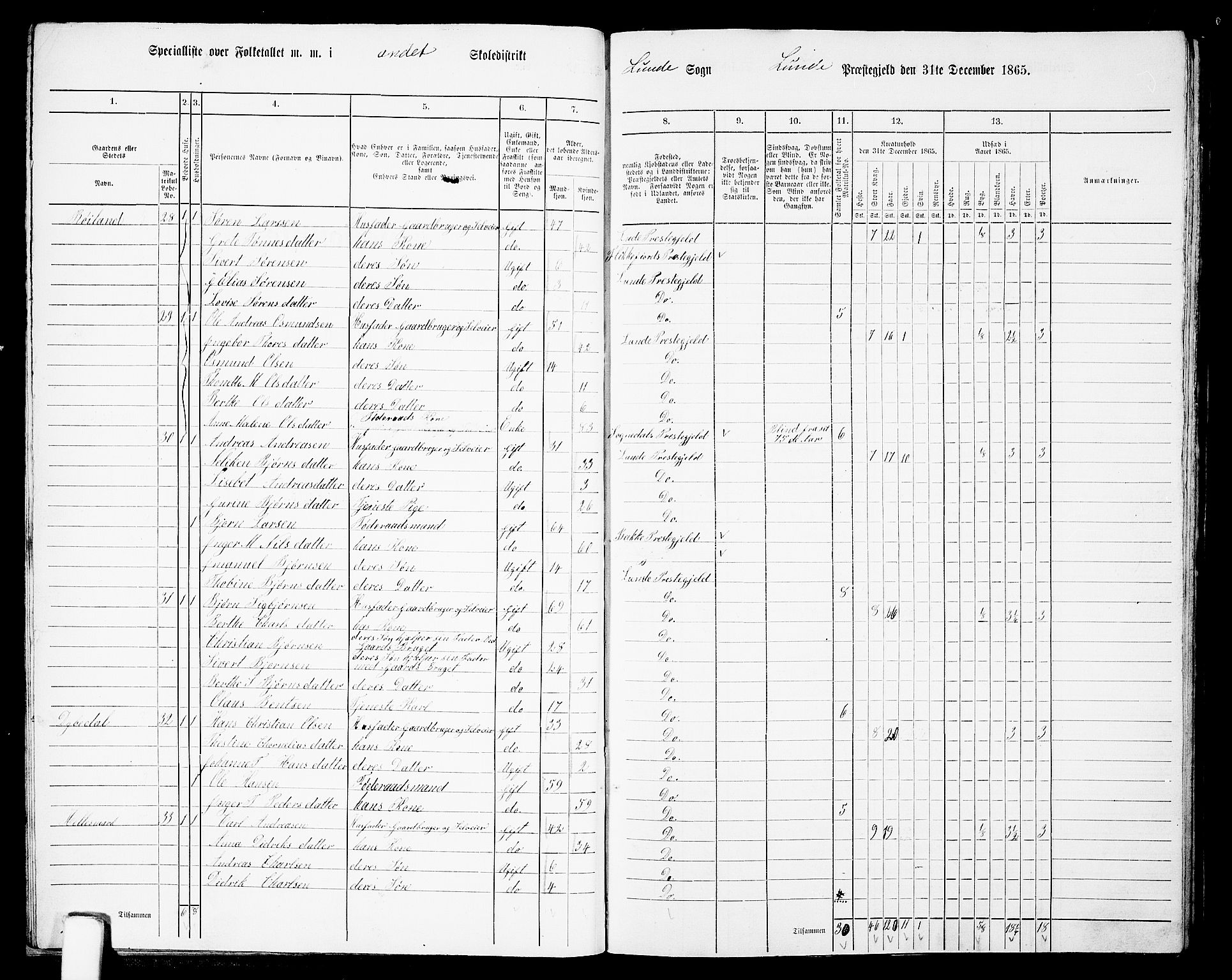 RA, Folketelling 1865 for 1112P Lund prestegjeld, 1865, s. 21