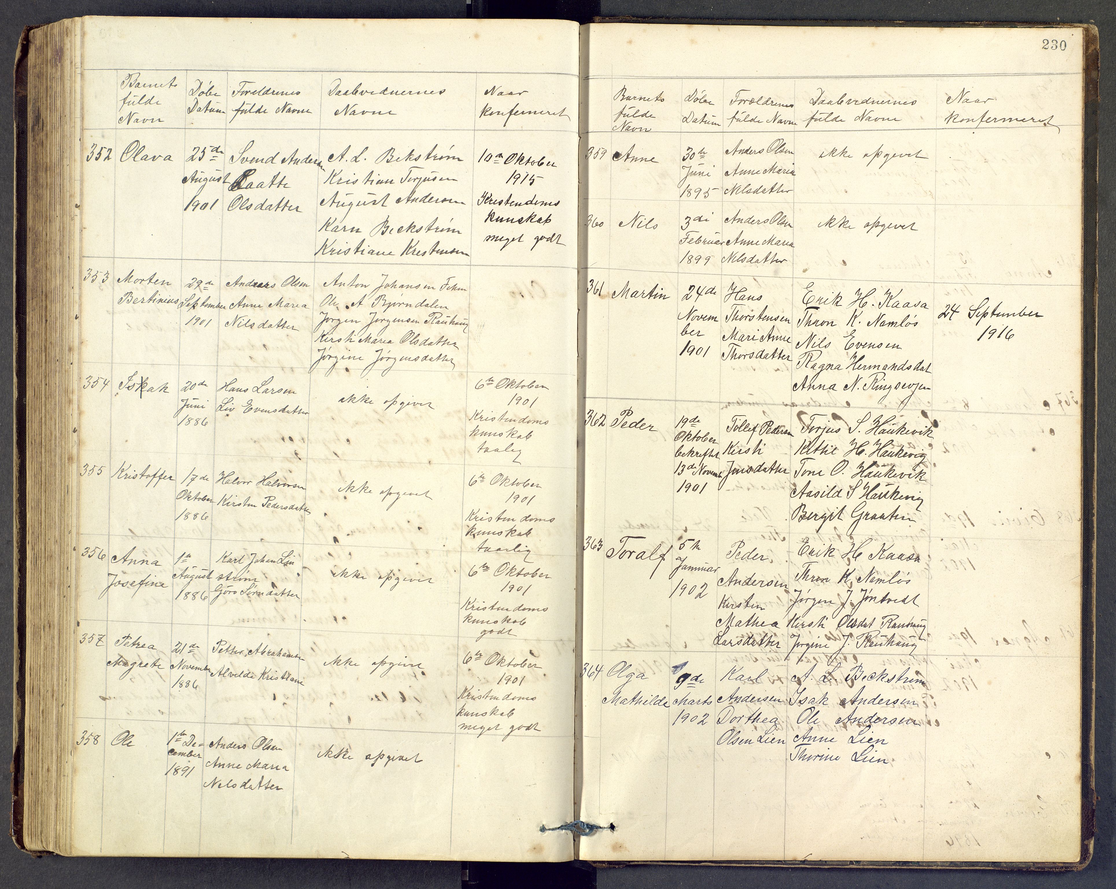 Den evangelisk lutherske frimenighet i Jarlsbergs grevskap med flere steder, AV/SAKO-P-1384/F/Fb/L0001: Dissenterprotokoll nr. Fa/L0001, 1872-1906, s. 230