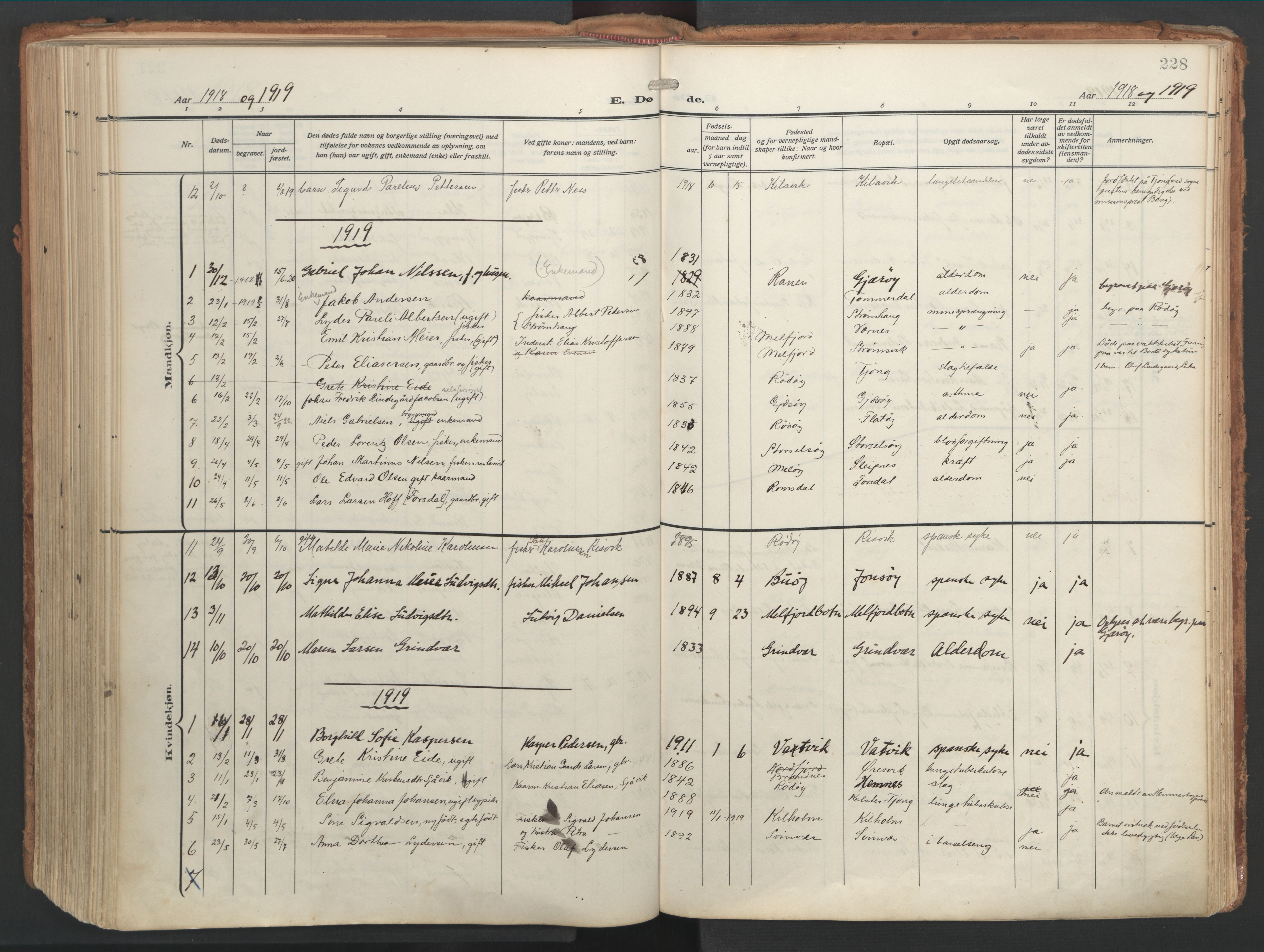 Ministerialprotokoller, klokkerbøker og fødselsregistre - Nordland, AV/SAT-A-1459/841/L0614: Ministerialbok nr. 841A17, 1911-1925, s. 228