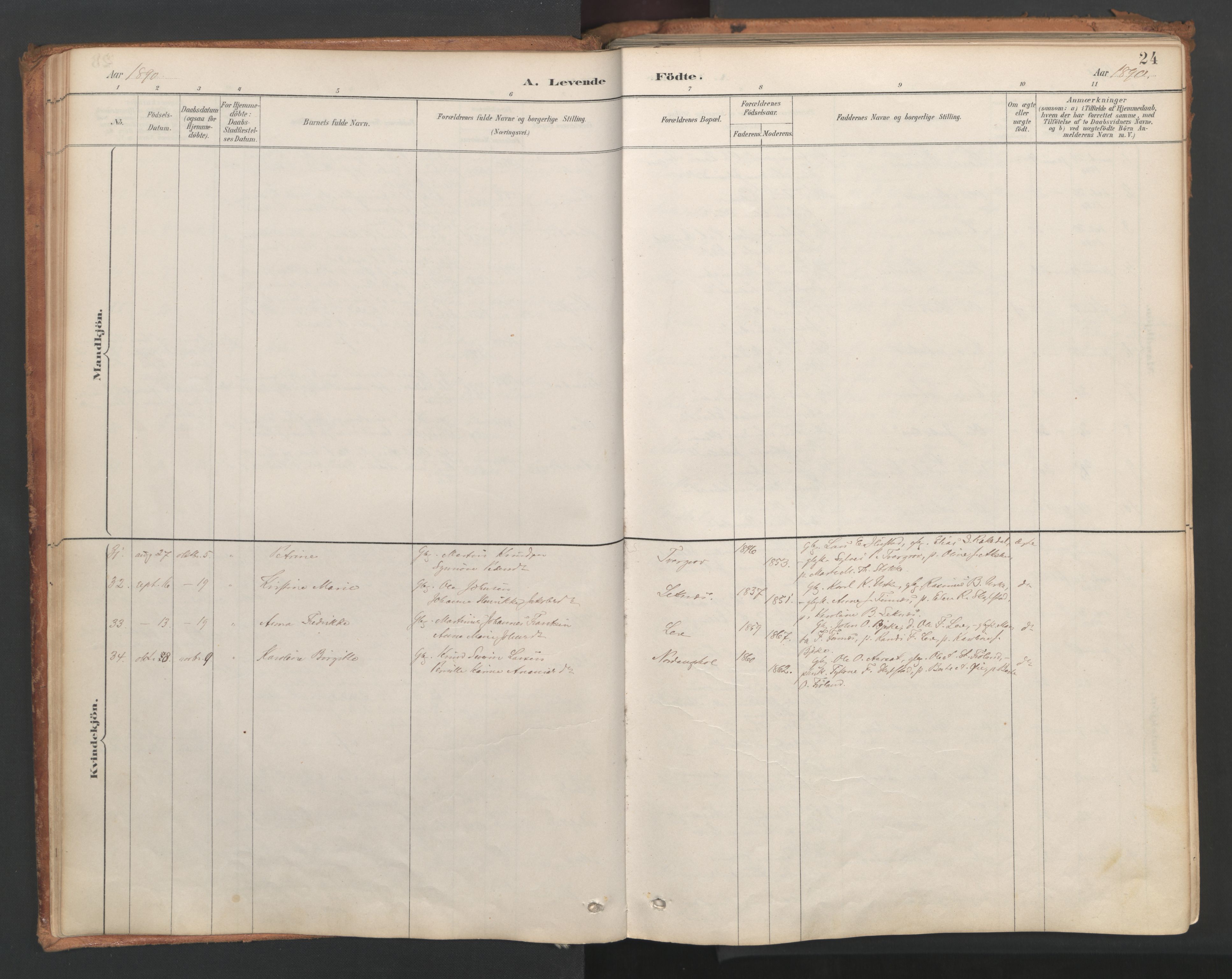 Ministerialprotokoller, klokkerbøker og fødselsregistre - Møre og Romsdal, SAT/A-1454/515/L0211: Ministerialbok nr. 515A07, 1886-1910, s. 24