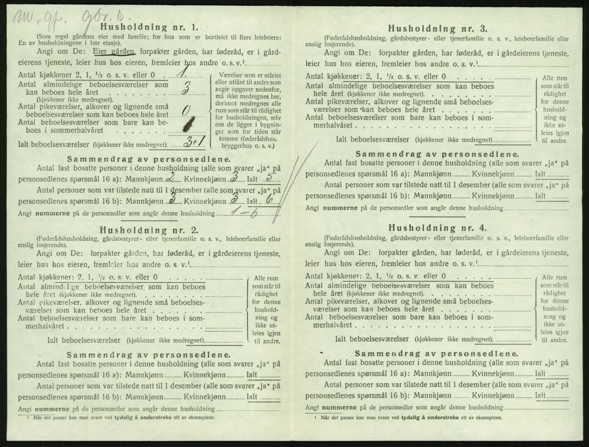 SAKO, Folketelling 1920 for 0727 Hedrum herred, 1920, s. 994