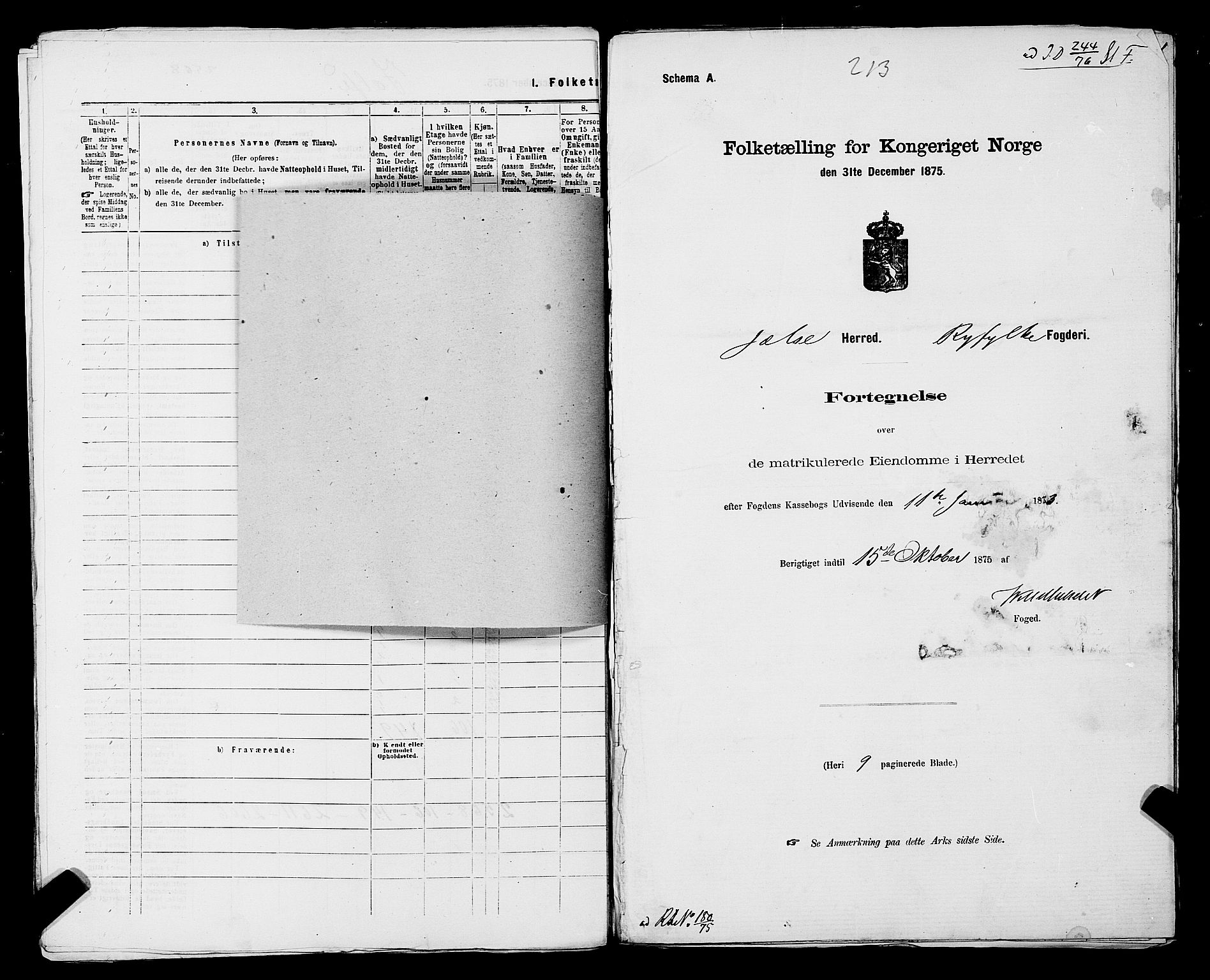 SAST, Folketelling 1875 for 1138P Jelsa prestegjeld, 1875, s. 25