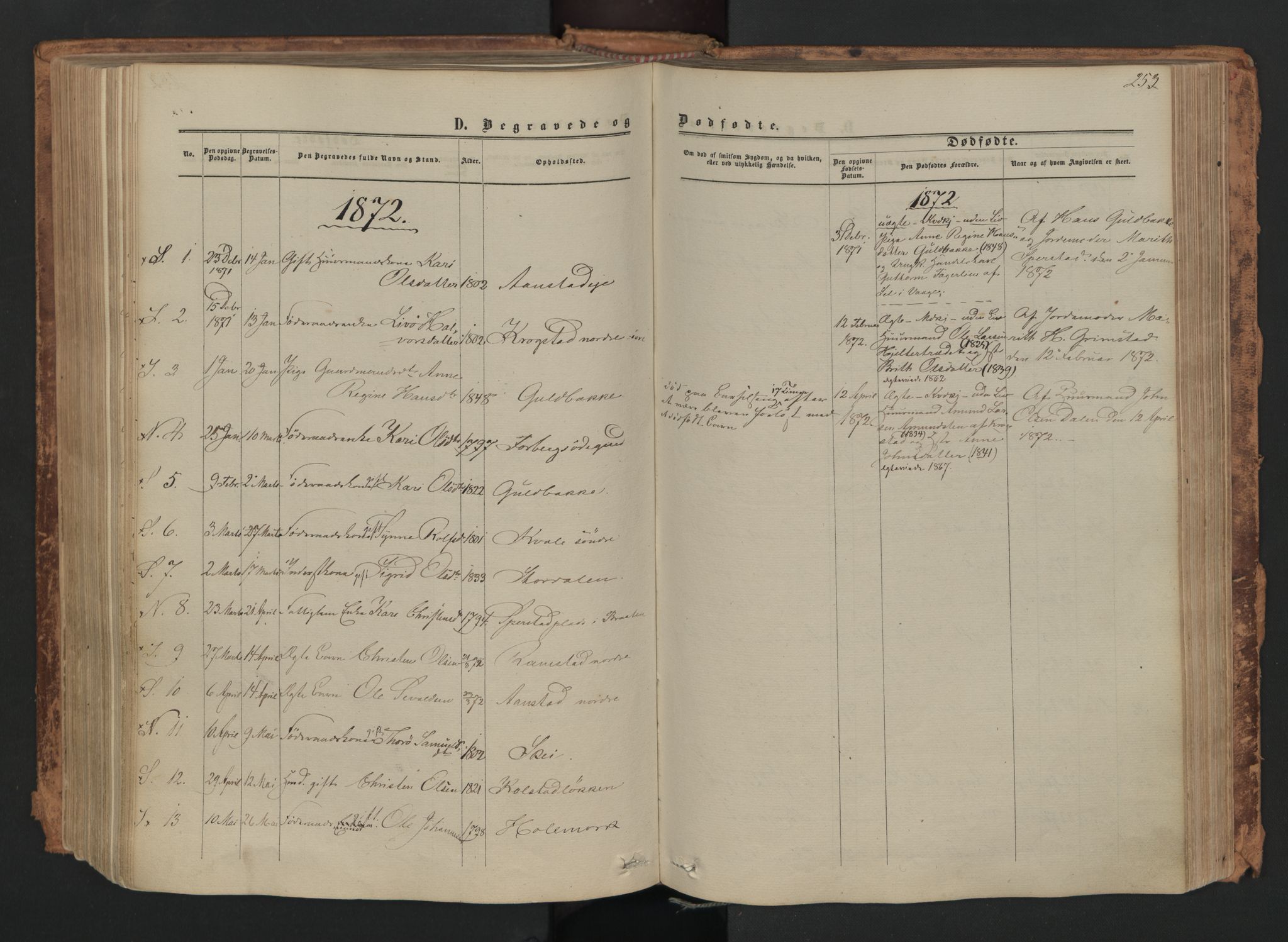 Skjåk prestekontor, AV/SAH-PREST-072/H/Ha/Haa/L0001: Ministerialbok nr. 1, 1863-1879, s. 253