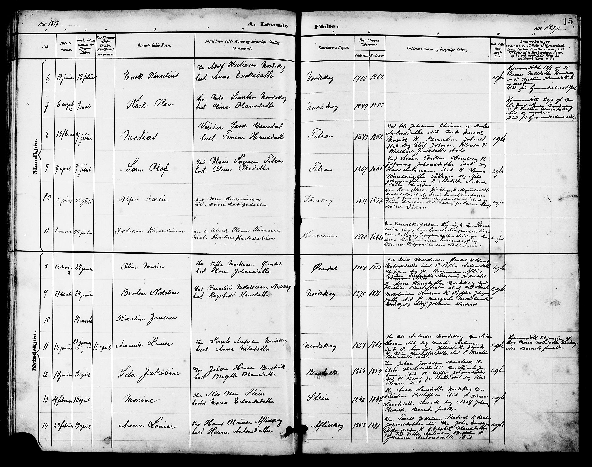 Ministerialprotokoller, klokkerbøker og fødselsregistre - Sør-Trøndelag, AV/SAT-A-1456/641/L0598: Klokkerbok nr. 641C02, 1893-1910, s. 15