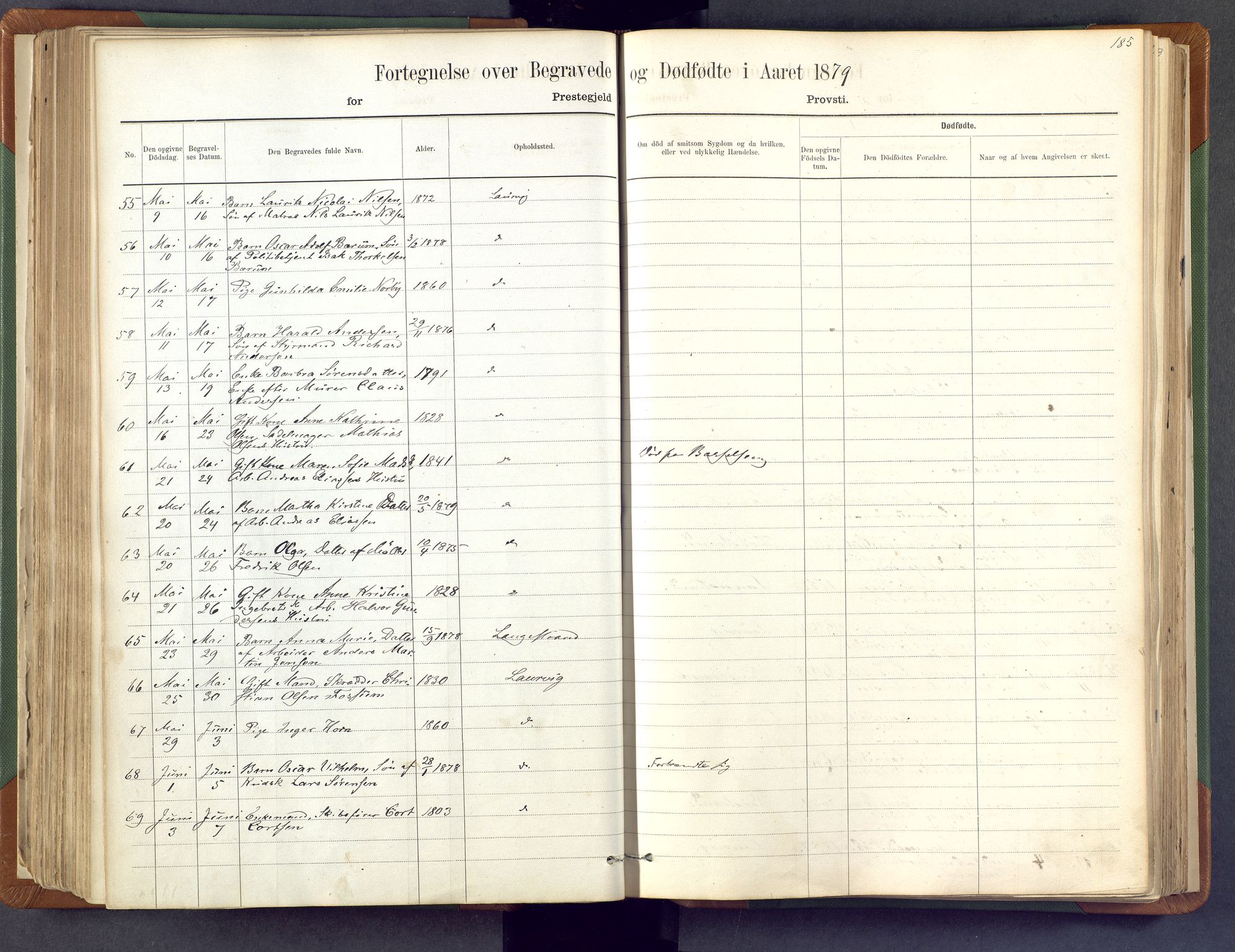 Larvik kirkebøker, AV/SAKO-A-352/F/Fa/L0007: Ministerialbok nr. I 7, 1871-1883, s. 185