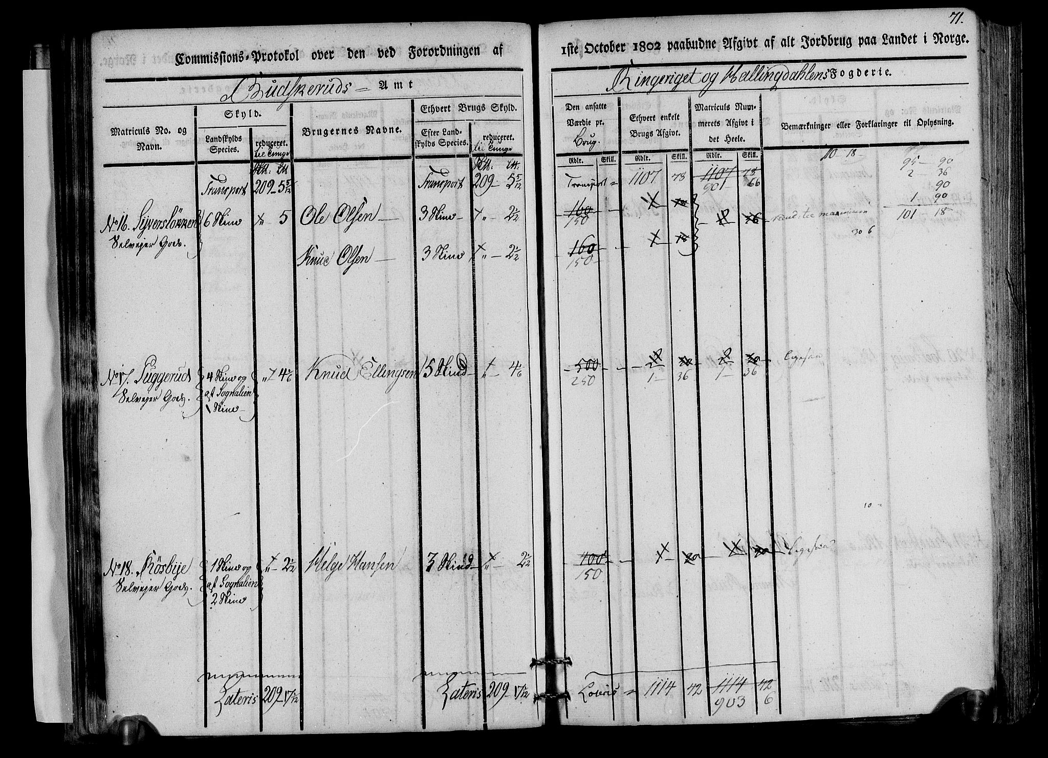 Rentekammeret inntil 1814, Realistisk ordnet avdeling, AV/RA-EA-4070/N/Ne/Nea/L0045: Ringerike og Hallingdal fogderi. Kommisjonsprotokoll for Norderhov prestegjeld, 1803, s. 74