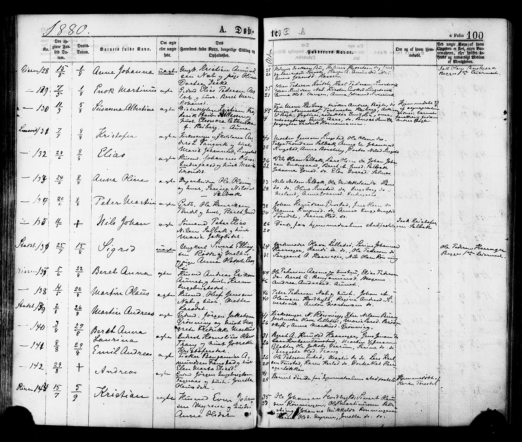 Ministerialprotokoller, klokkerbøker og fødselsregistre - Sør-Trøndelag, SAT/A-1456/646/L0613: Ministerialbok nr. 646A11, 1870-1884, s. 100