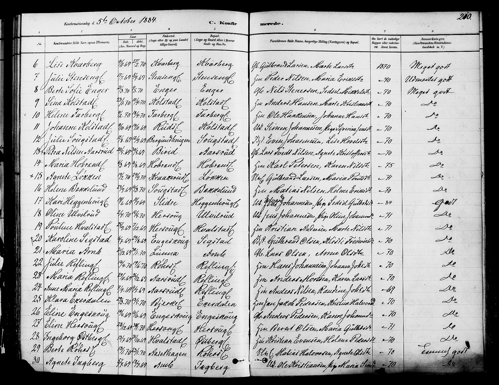 Ringsaker prestekontor, AV/SAH-PREST-014/K/Ka/L0012: Ministerialbok nr. 12, 1879-1890, s. 210