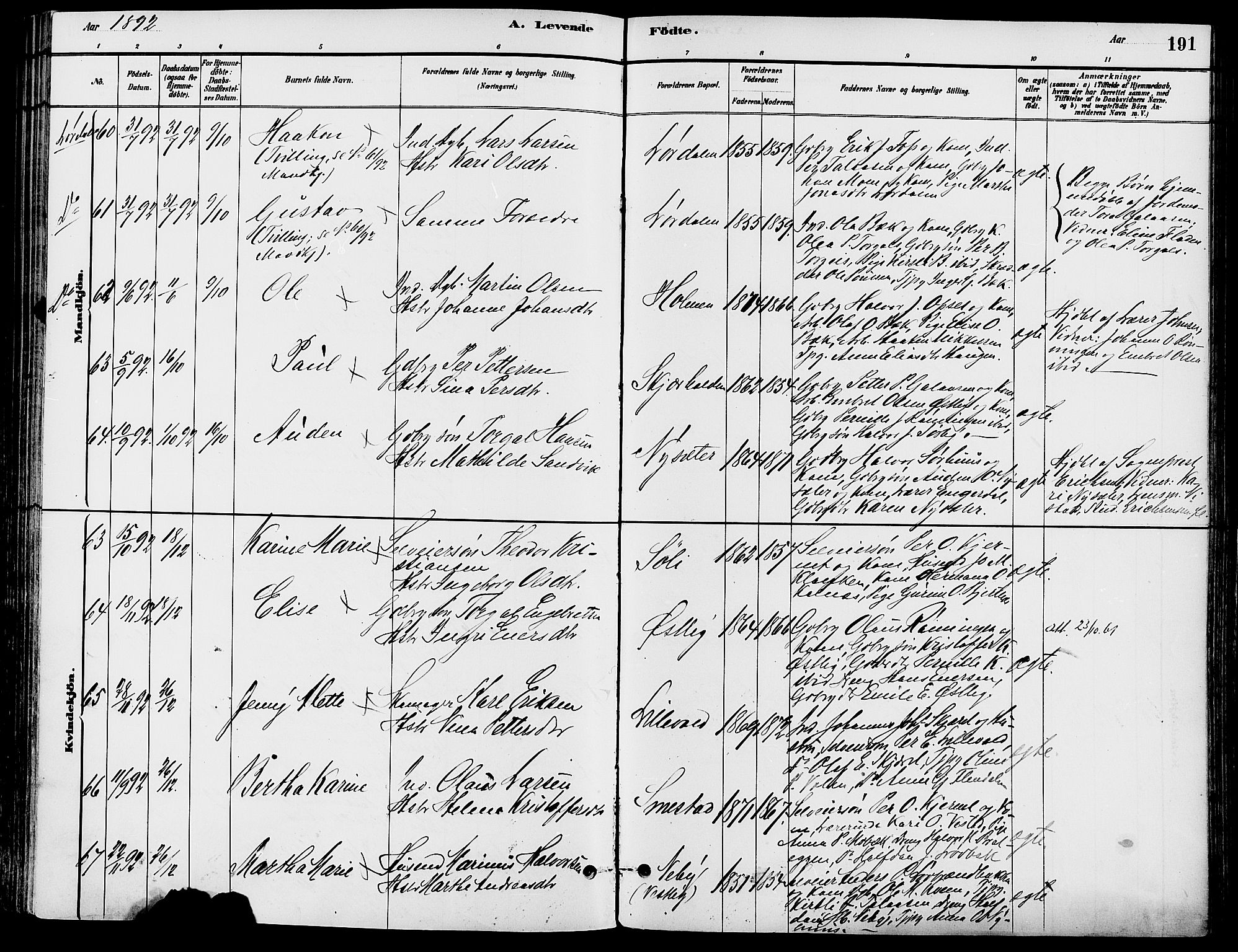 Trysil prestekontor, AV/SAH-PREST-046/H/Ha/Haa/L0008: Ministerialbok nr. 8, 1881-1897, s. 191