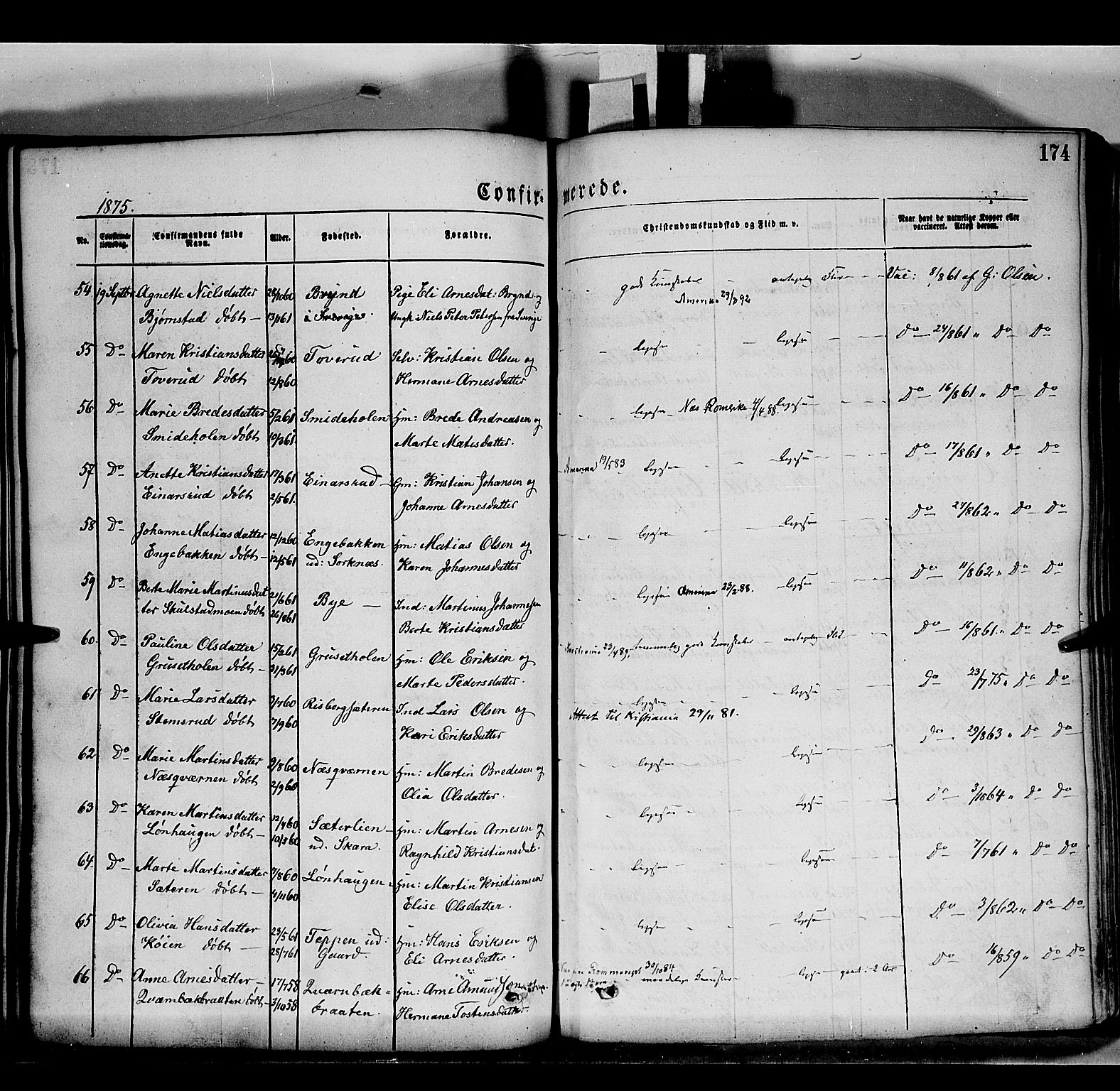 Grue prestekontor, AV/SAH-PREST-036/H/Ha/Haa/L0011: Ministerialbok nr. 11, 1873-1880, s. 174