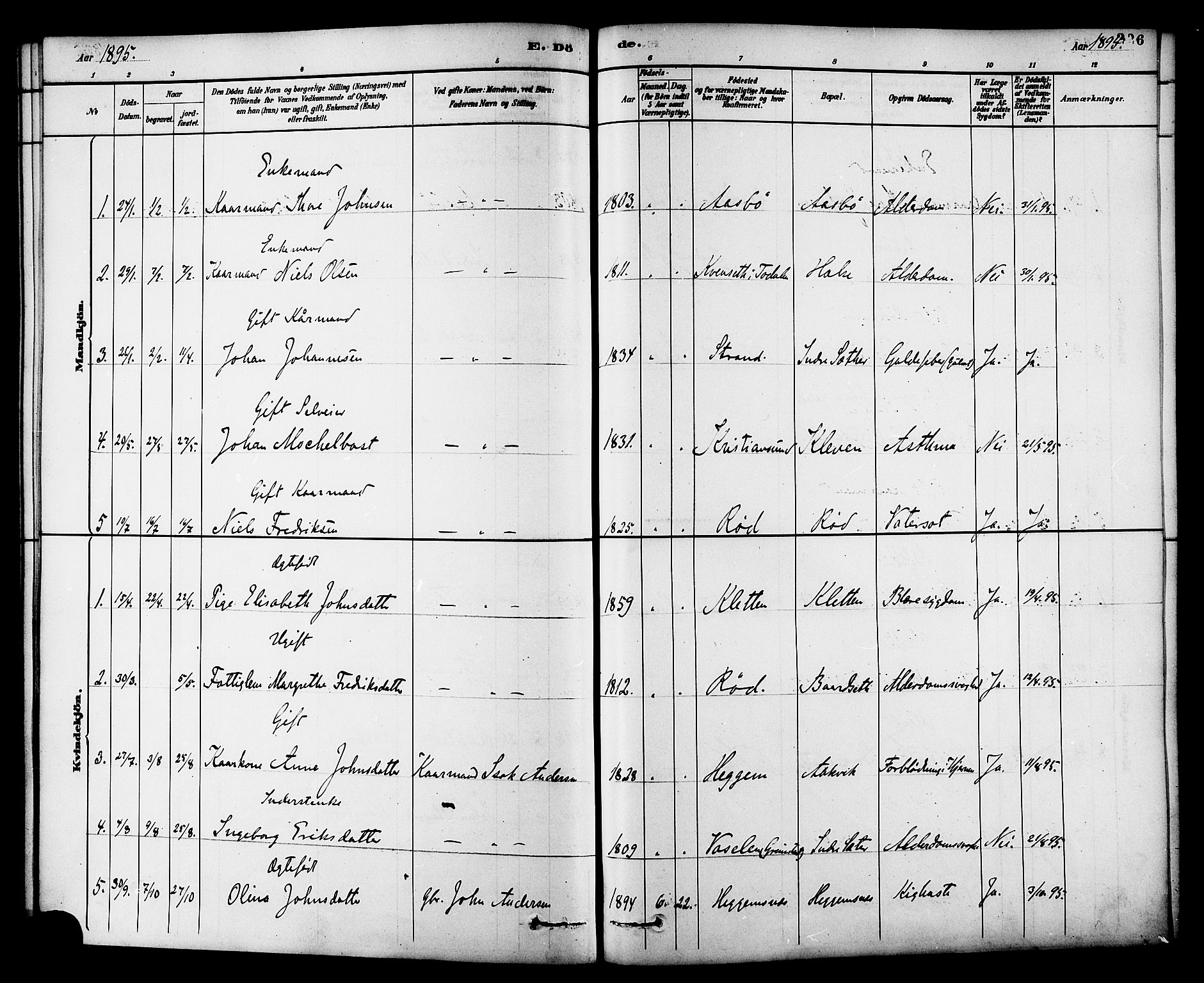 Ministerialprotokoller, klokkerbøker og fødselsregistre - Møre og Romsdal, SAT/A-1454/576/L0885: Ministerialbok nr. 576A03, 1880-1898, s. 226