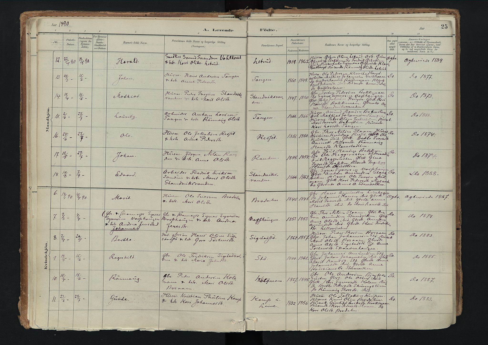 Nord-Fron prestekontor, AV/SAH-PREST-080/H/Ha/Haa/L0003: Ministerialbok nr. 3, 1884-1914, s. 25
